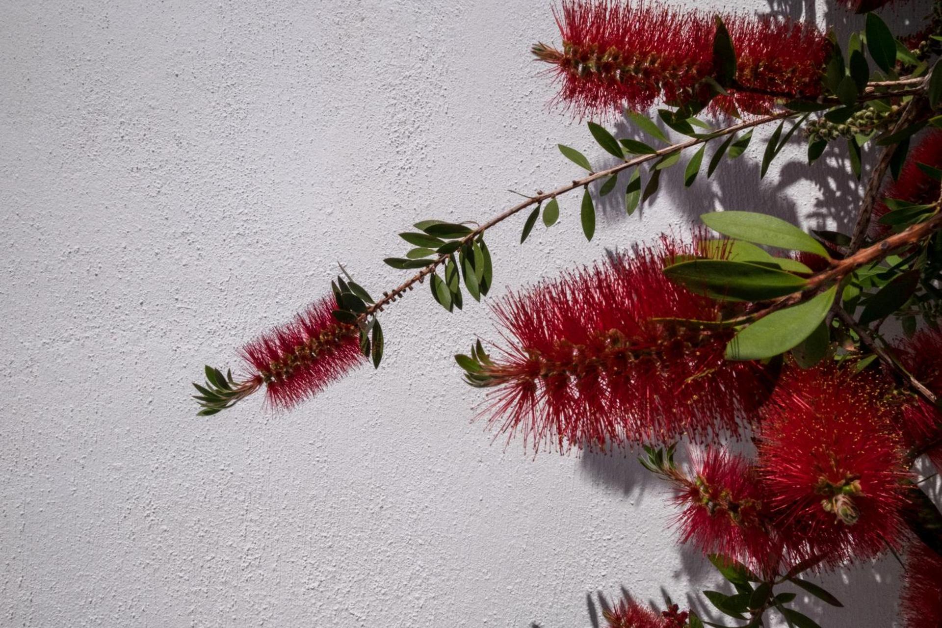 Joseph Studios - Photo 176