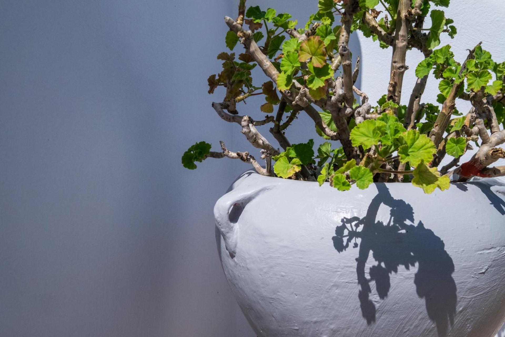 Joseph Studios - Photo 140