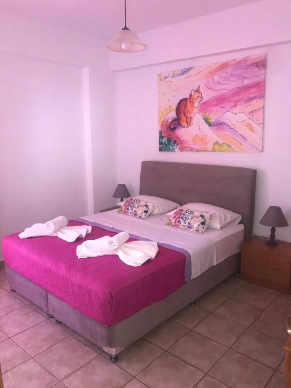 Vrisi Apartments & Villa - Photo 50