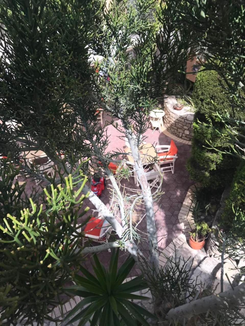 Vrisi Apartments & Villa - Photo 87