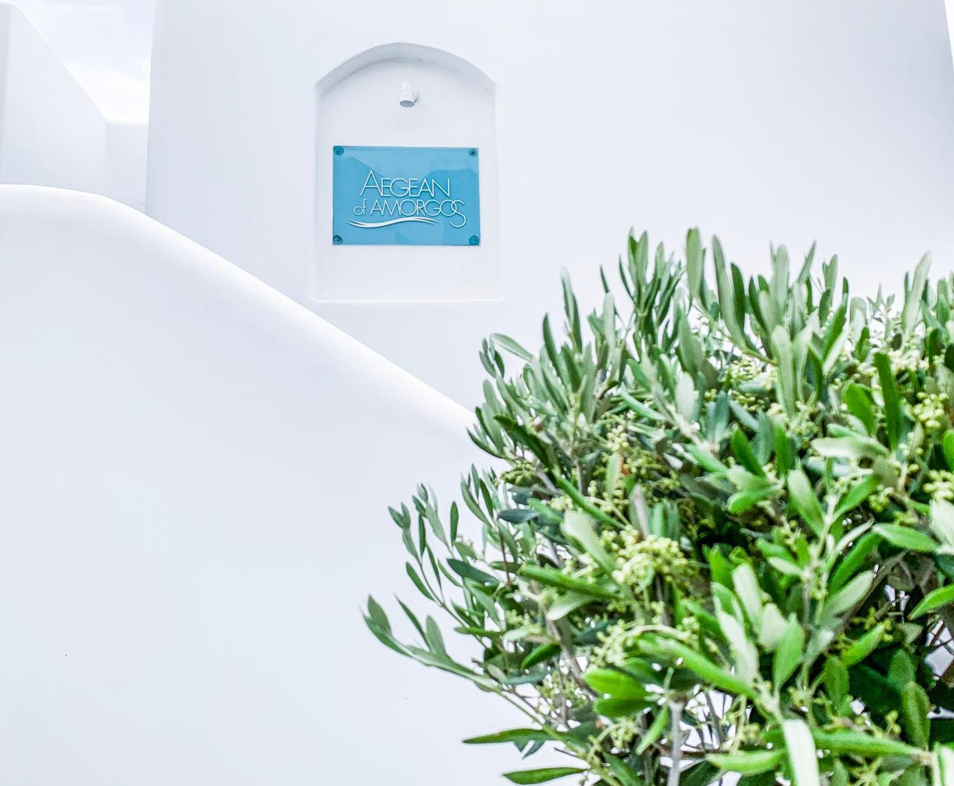 Aegean of Amorgos - Photo 33