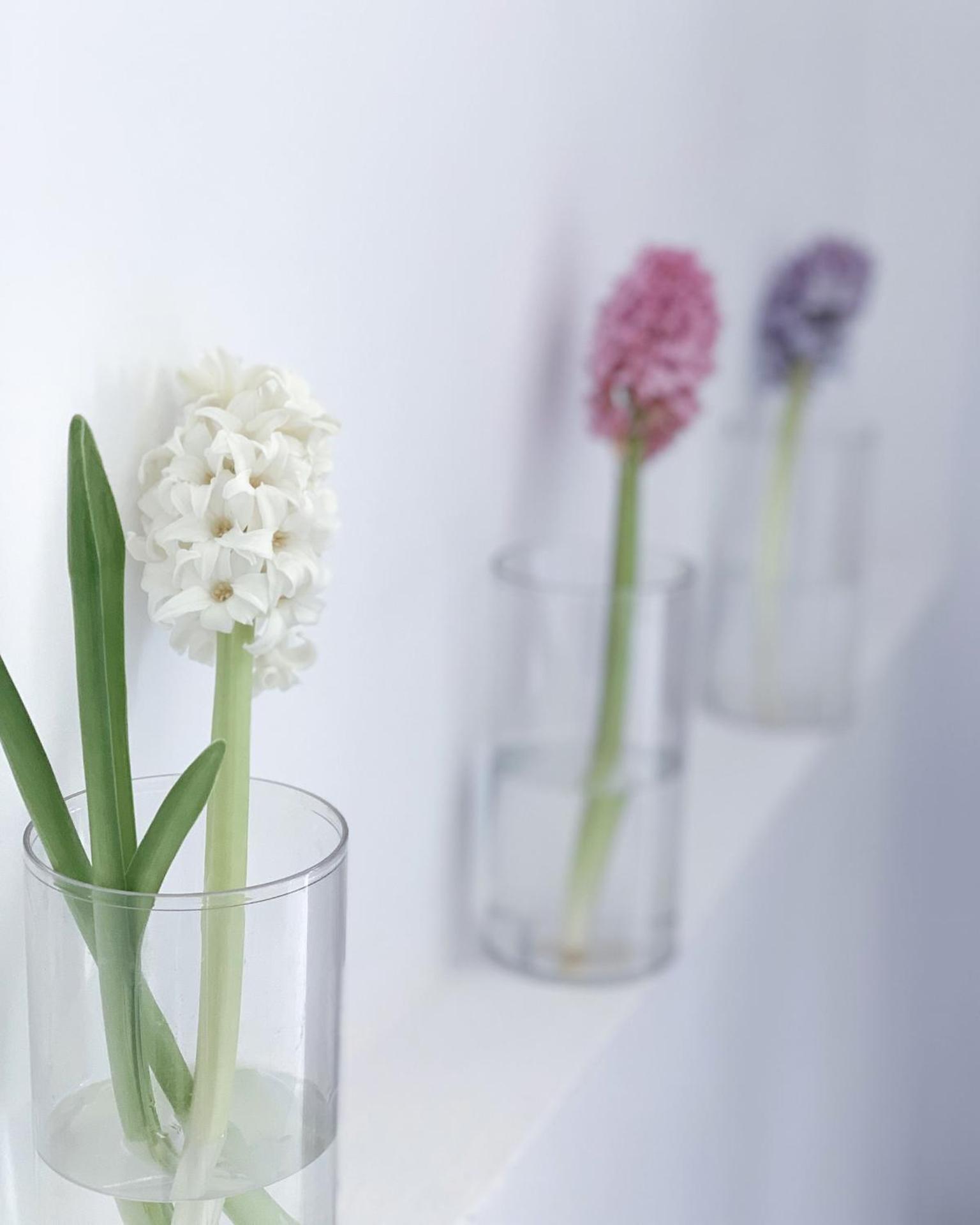 Aegean of Amorgos - Photo 34