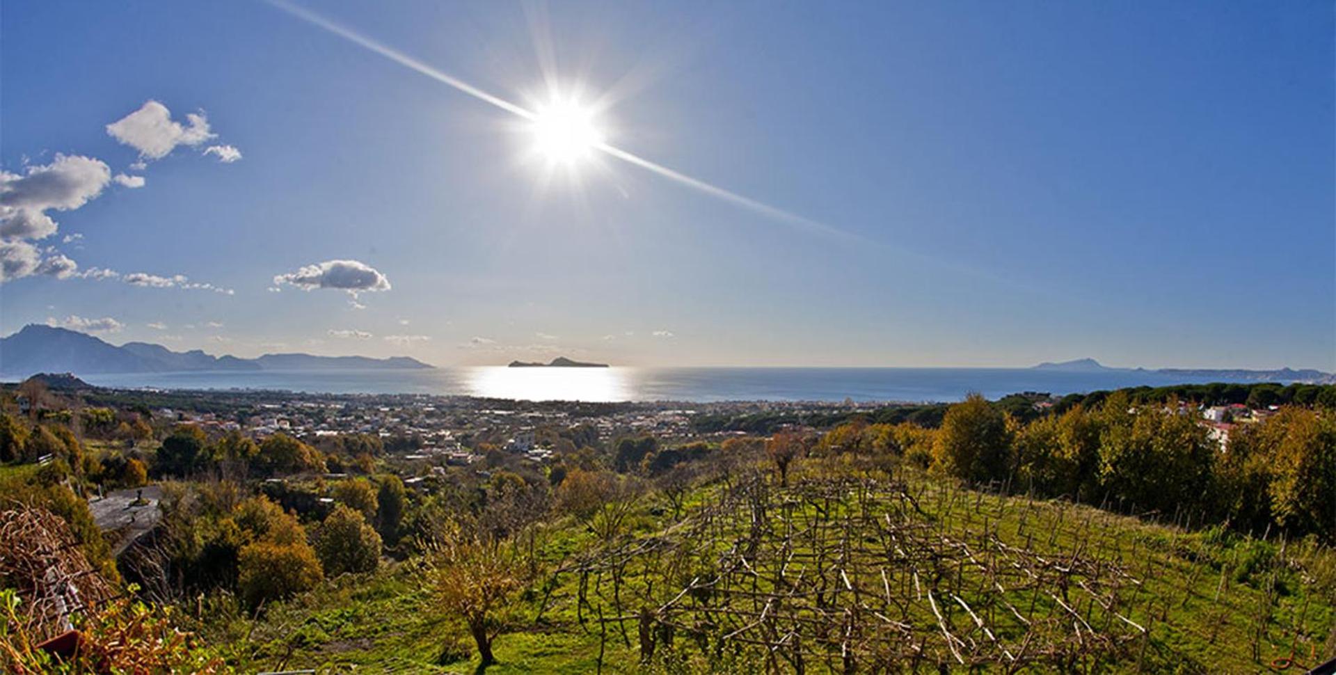 Tenuta Le Fornacelle - Photo 84