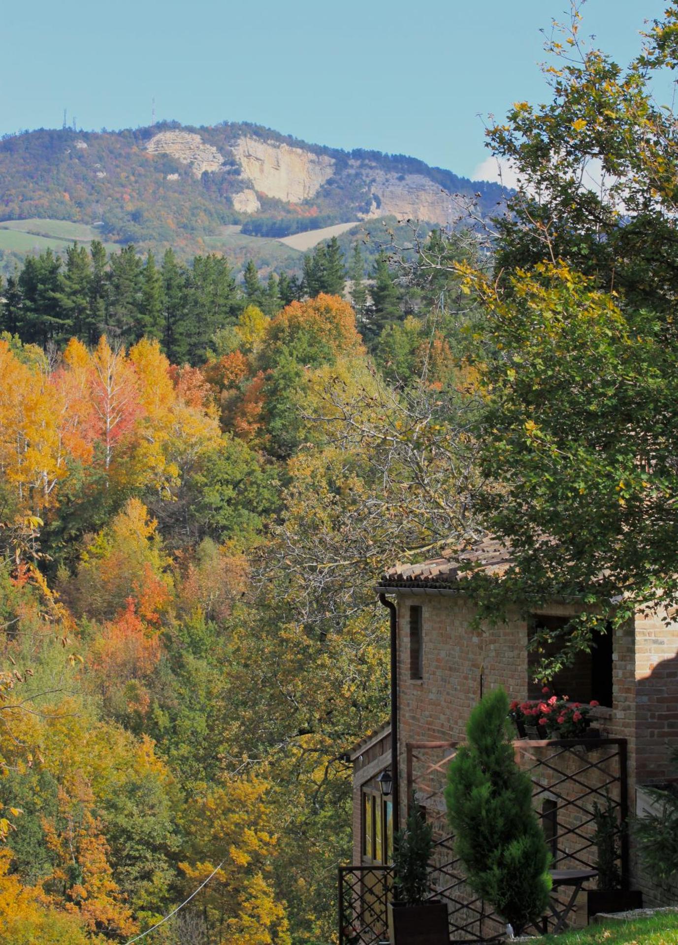 Il Nascondiglio - The Hideaway - Photo 24
