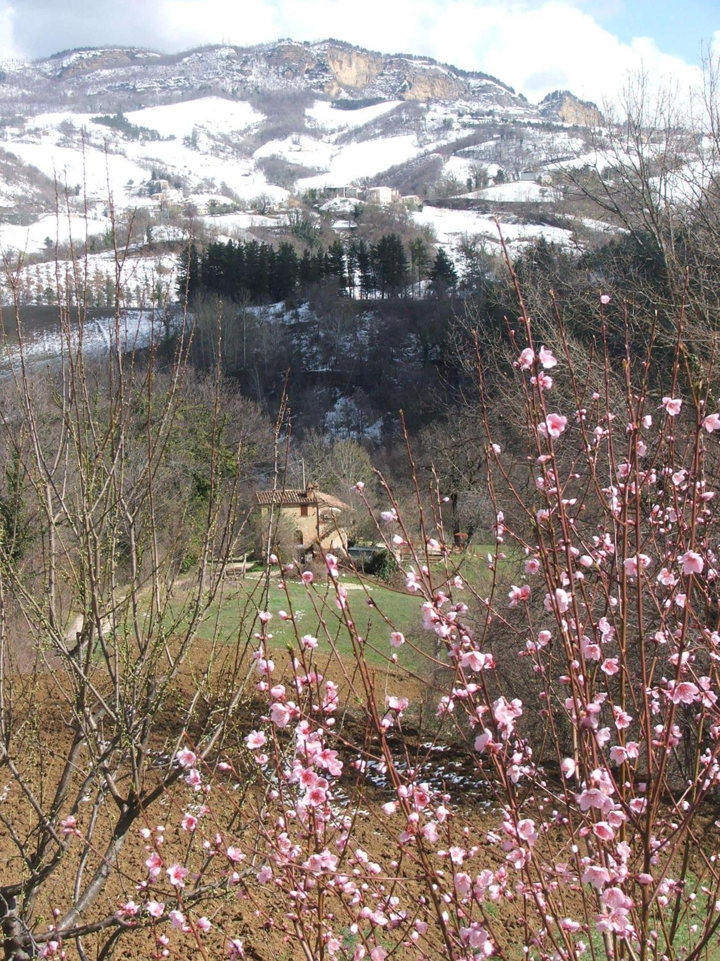 Il Nascondiglio - The Hideaway - Photo 120