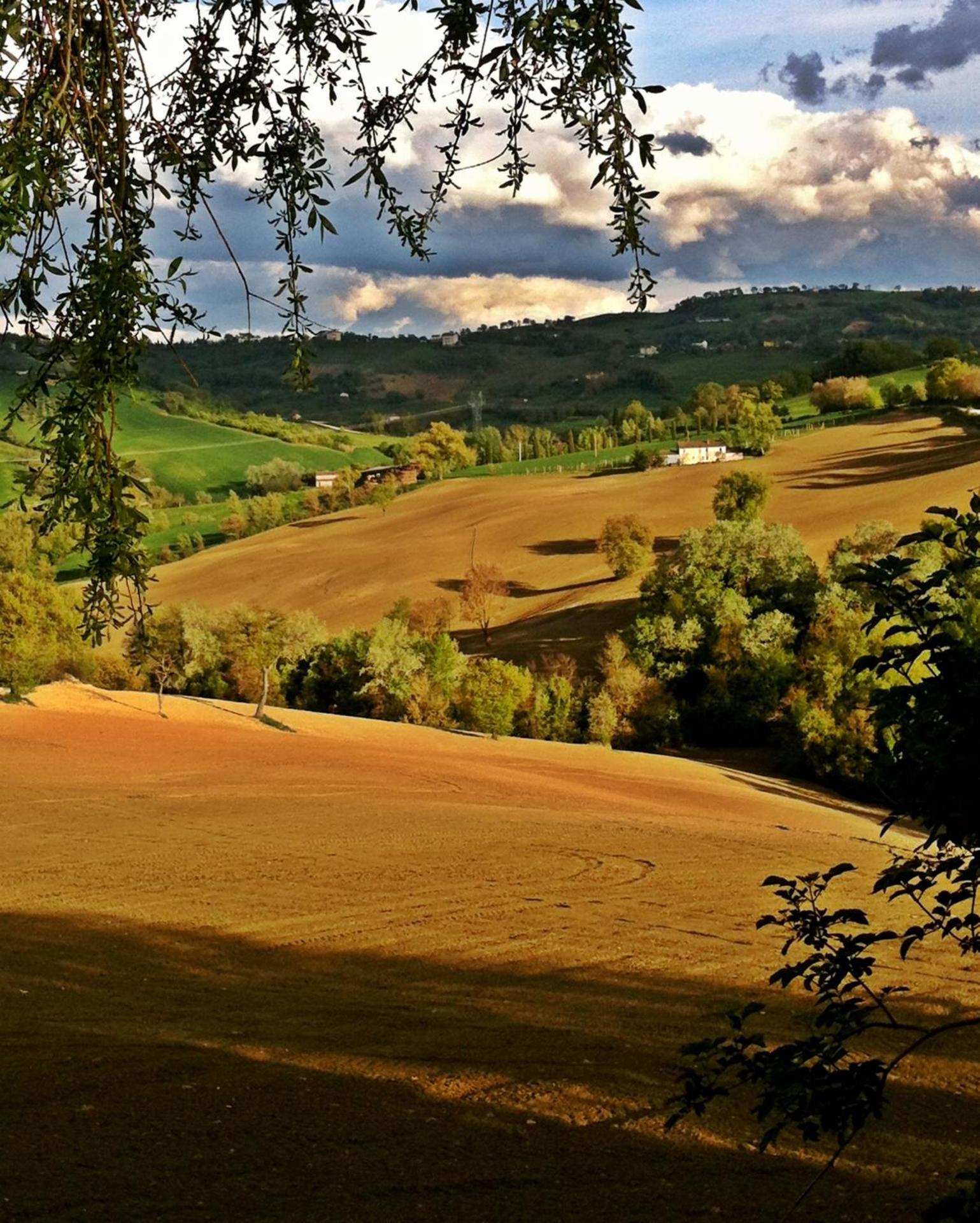 Il Nascondiglio - The Hideaway - Photo 138