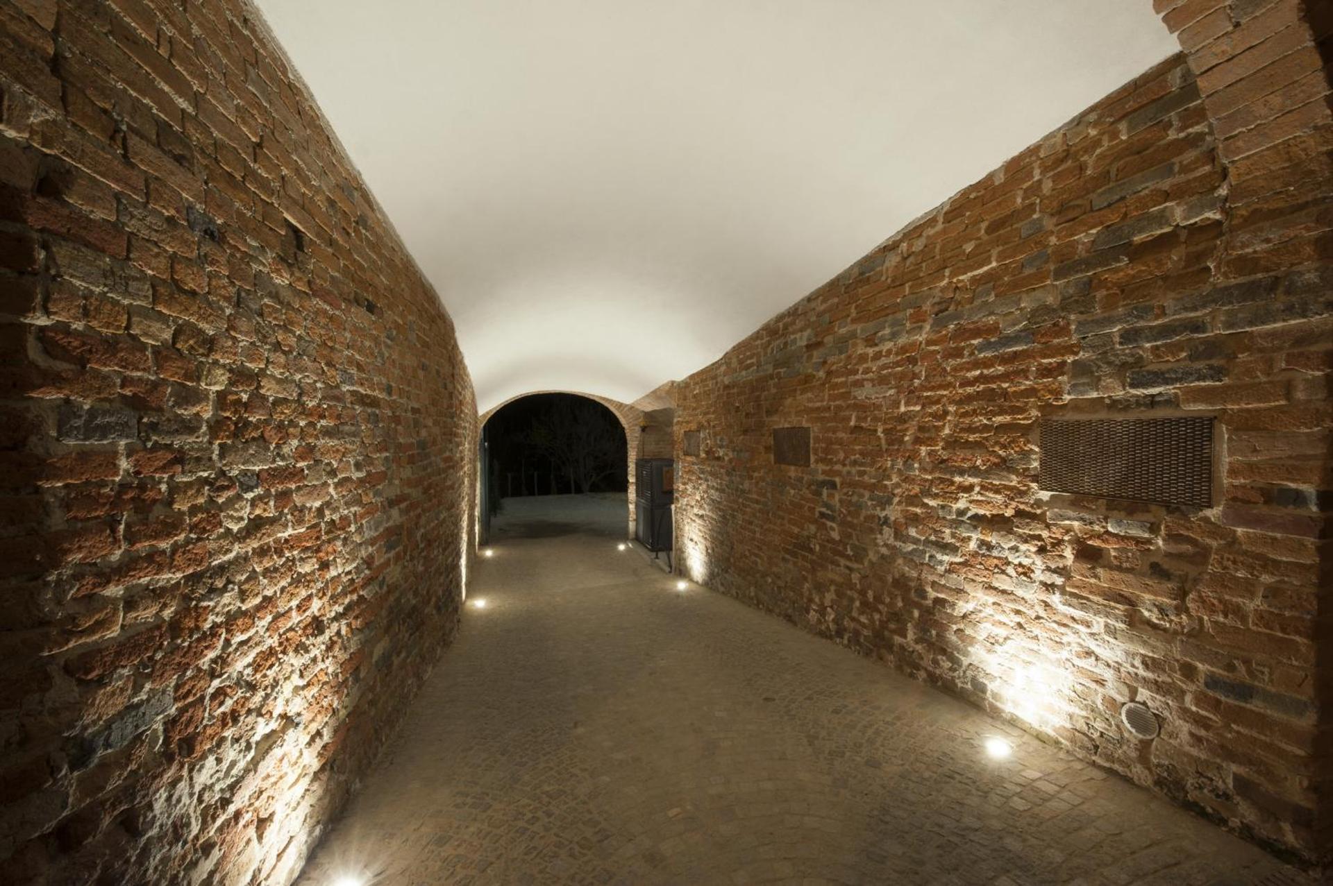 Il bosco delle torte - Photo 6