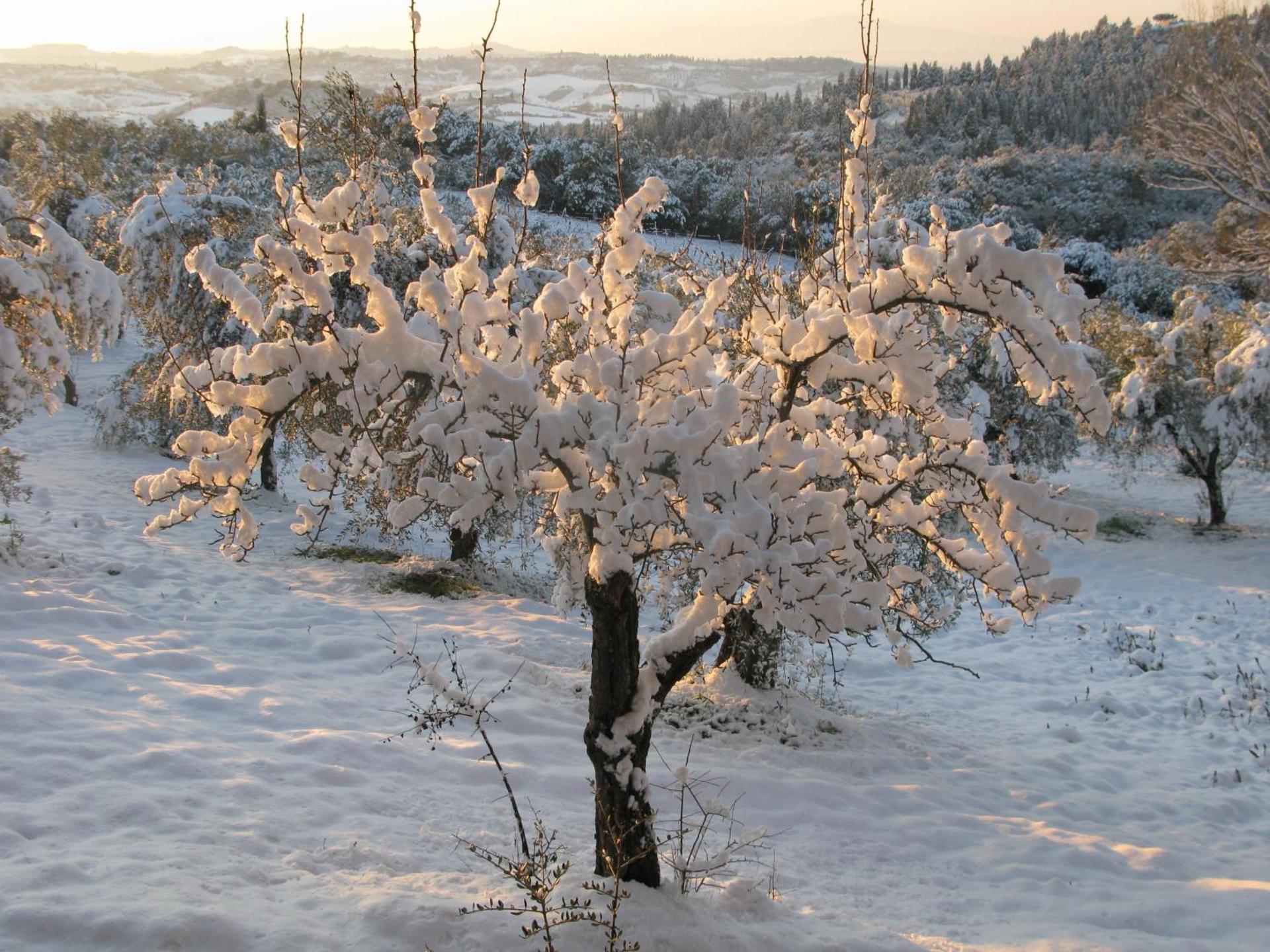 Agriturismo Martignana Alta - Photo 26