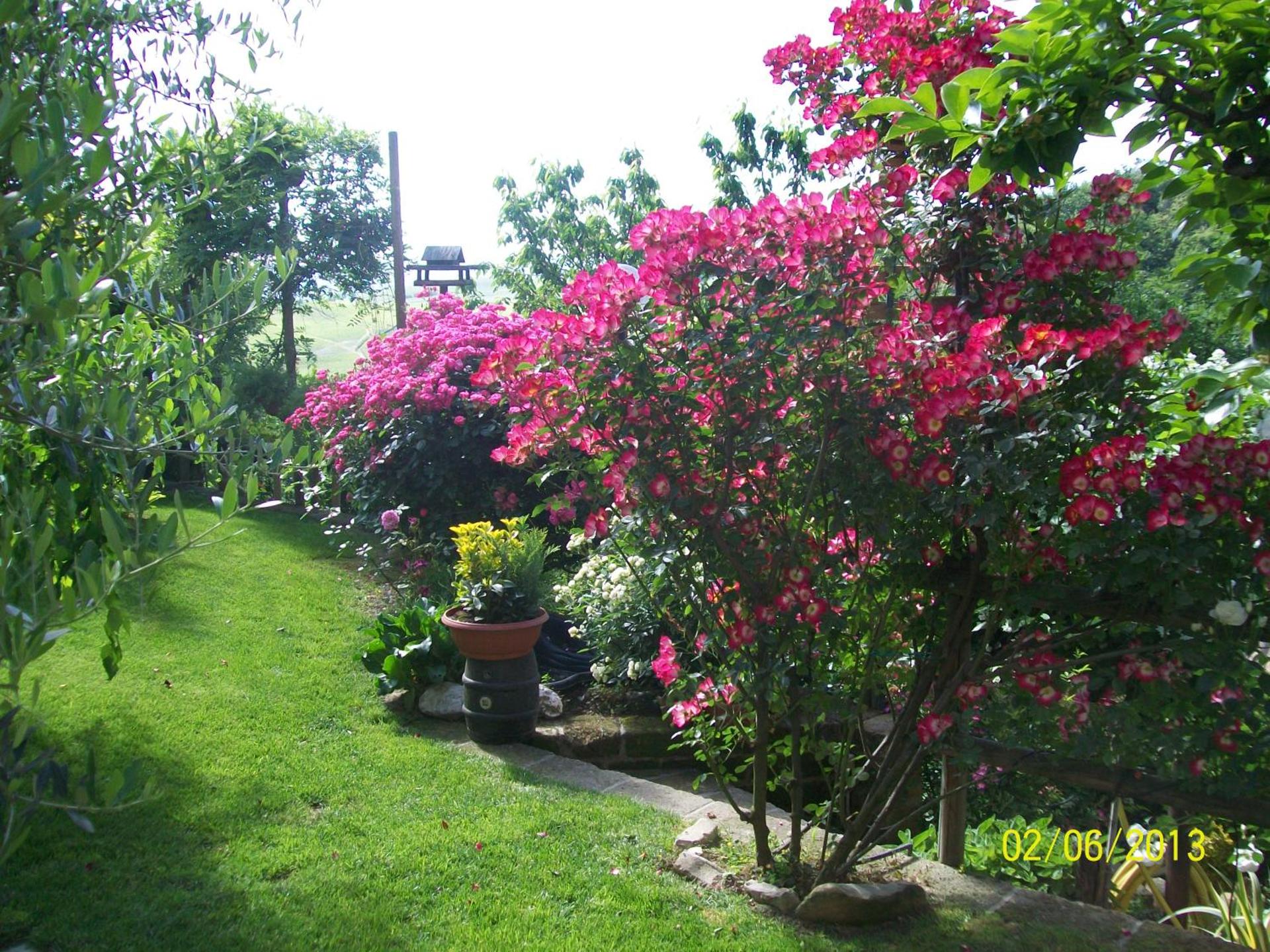 Il bosco delle torte - Photo 11