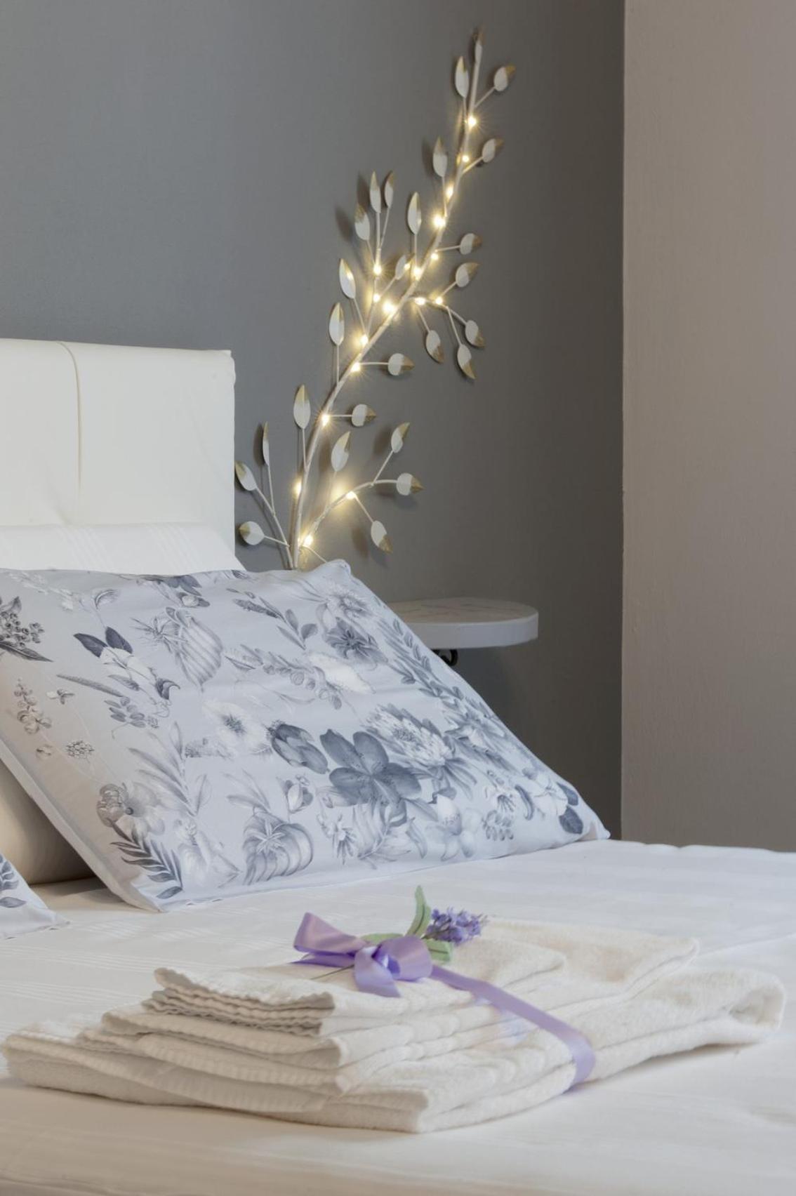 Il bosco delle torte - Photo 17