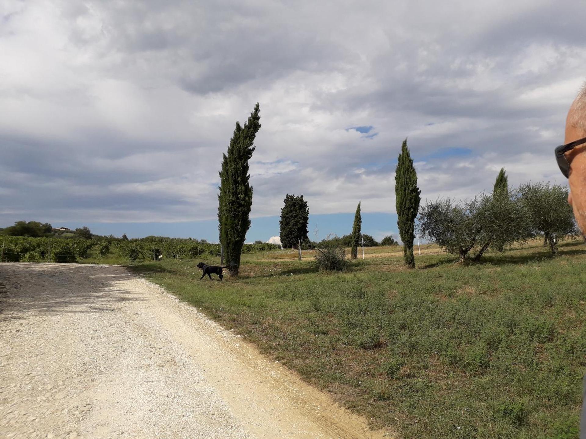 Villa Francesca - Photo 45