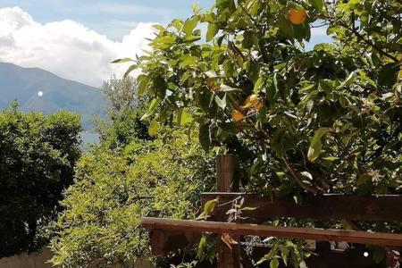 La Casa di Marcello - Photo 80