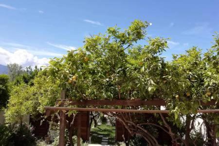 La Casa di Marcello - Photo 77