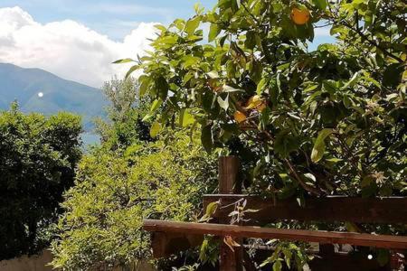 La Casa di Marcello - Photo 76