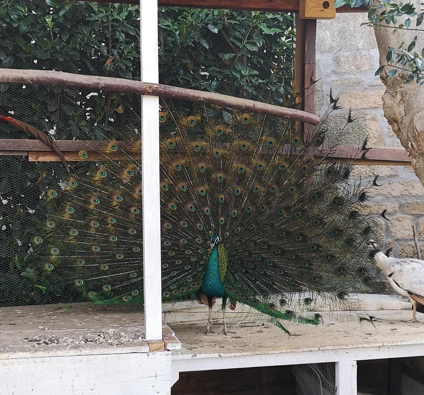 Gojim Casa Rural - Photo 50