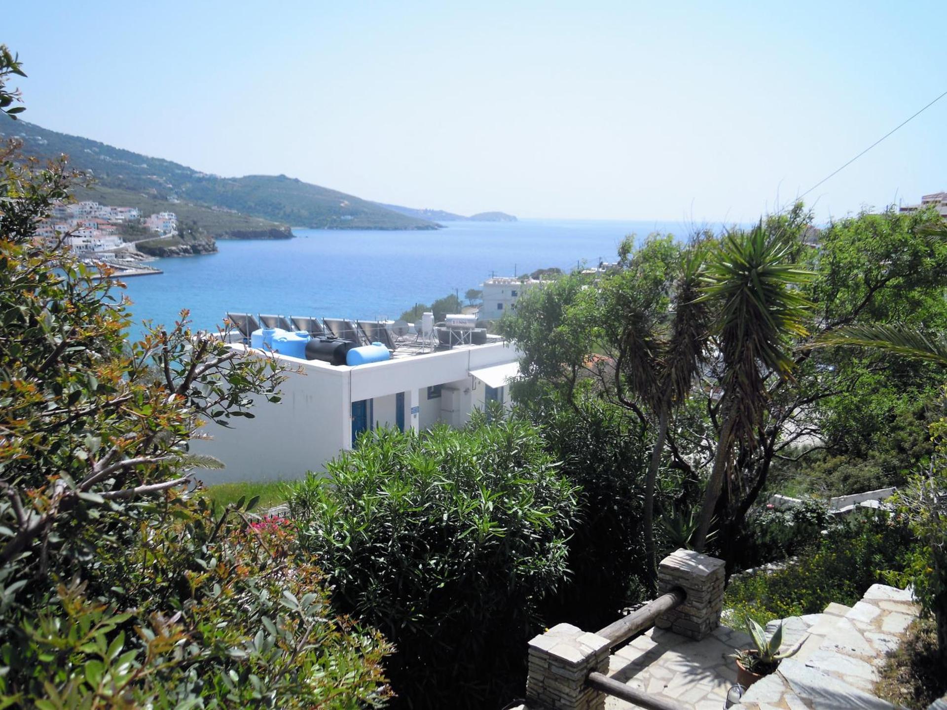 Blue Dolphin - Photo 145