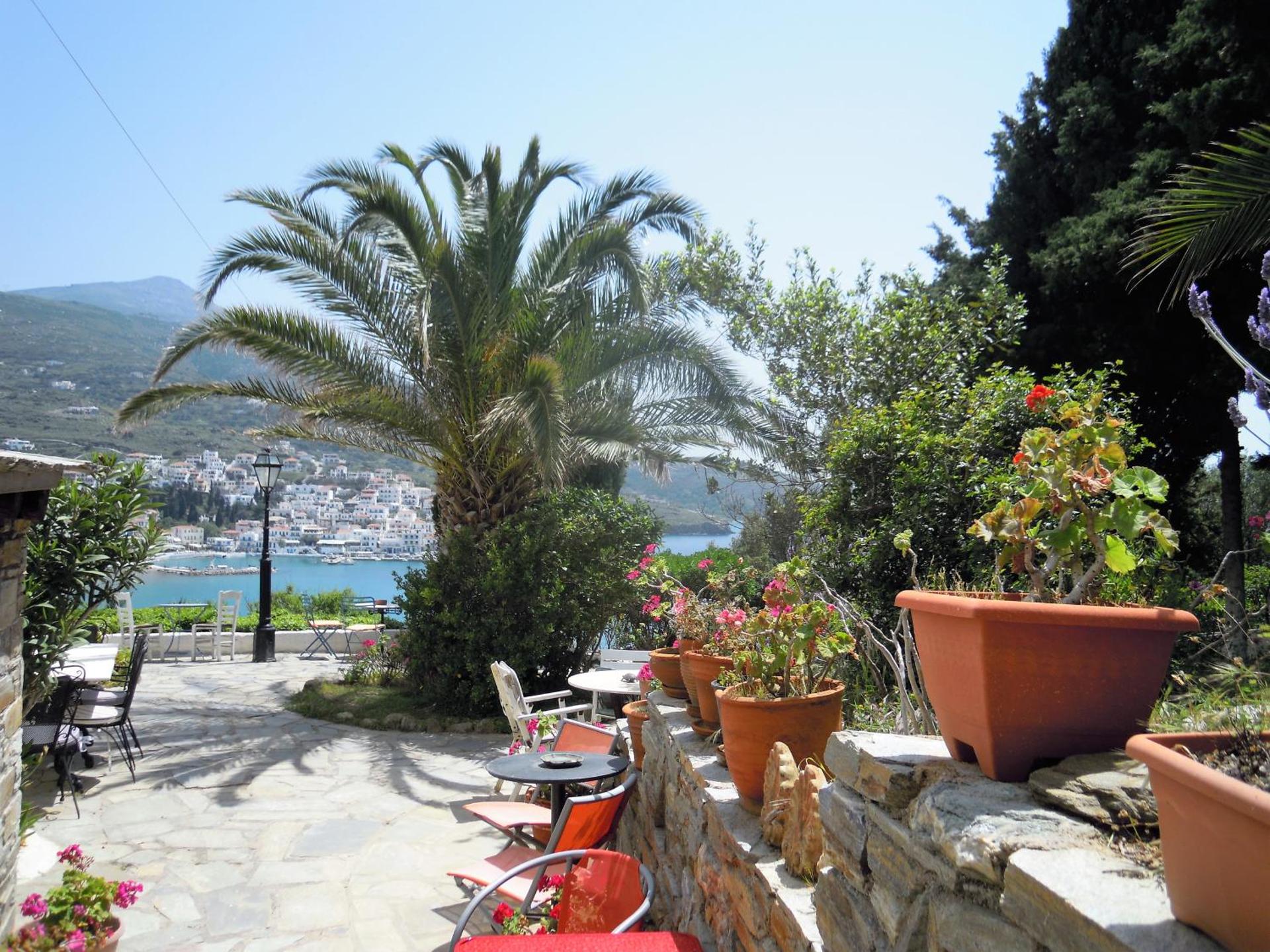 Blue Dolphin - Photo 148