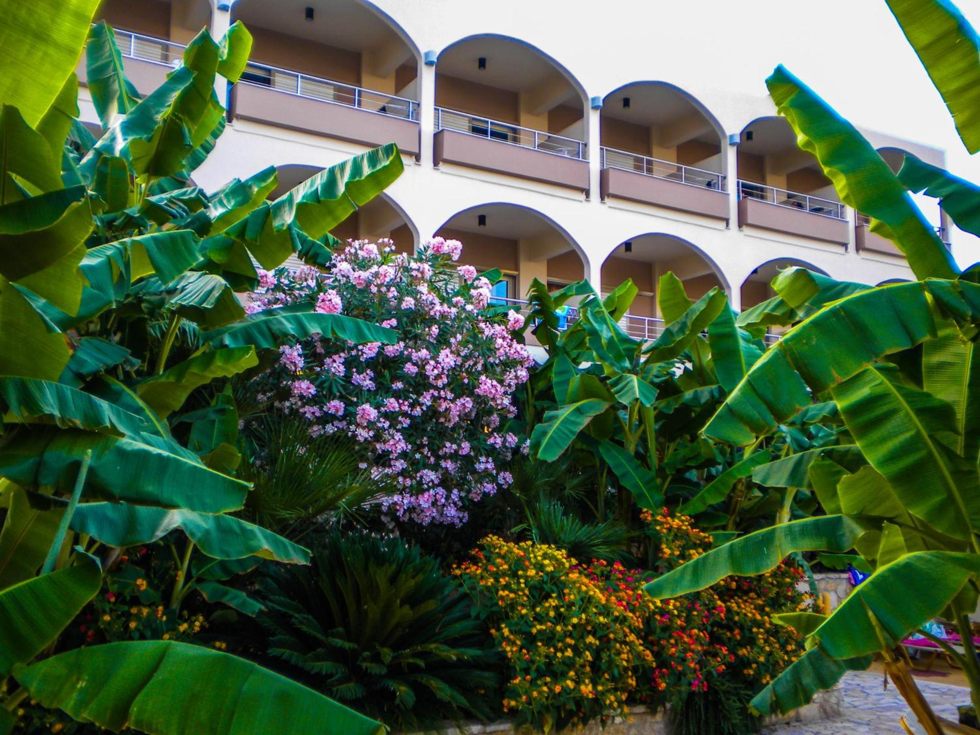 Paradise Lost Hotel-Apartments - Photo 23