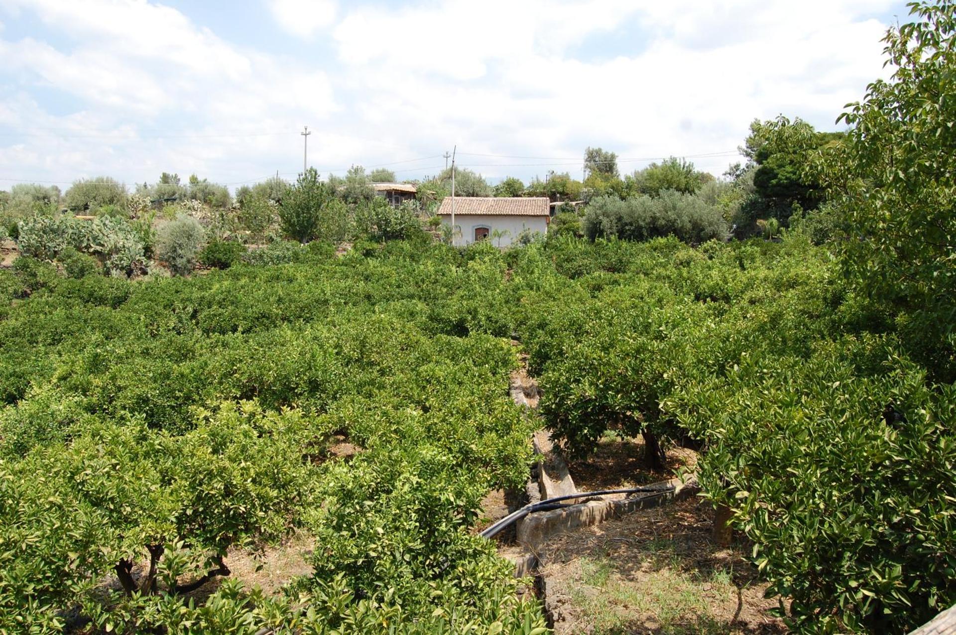 La Fattoria Dei Nonni - Photo 168