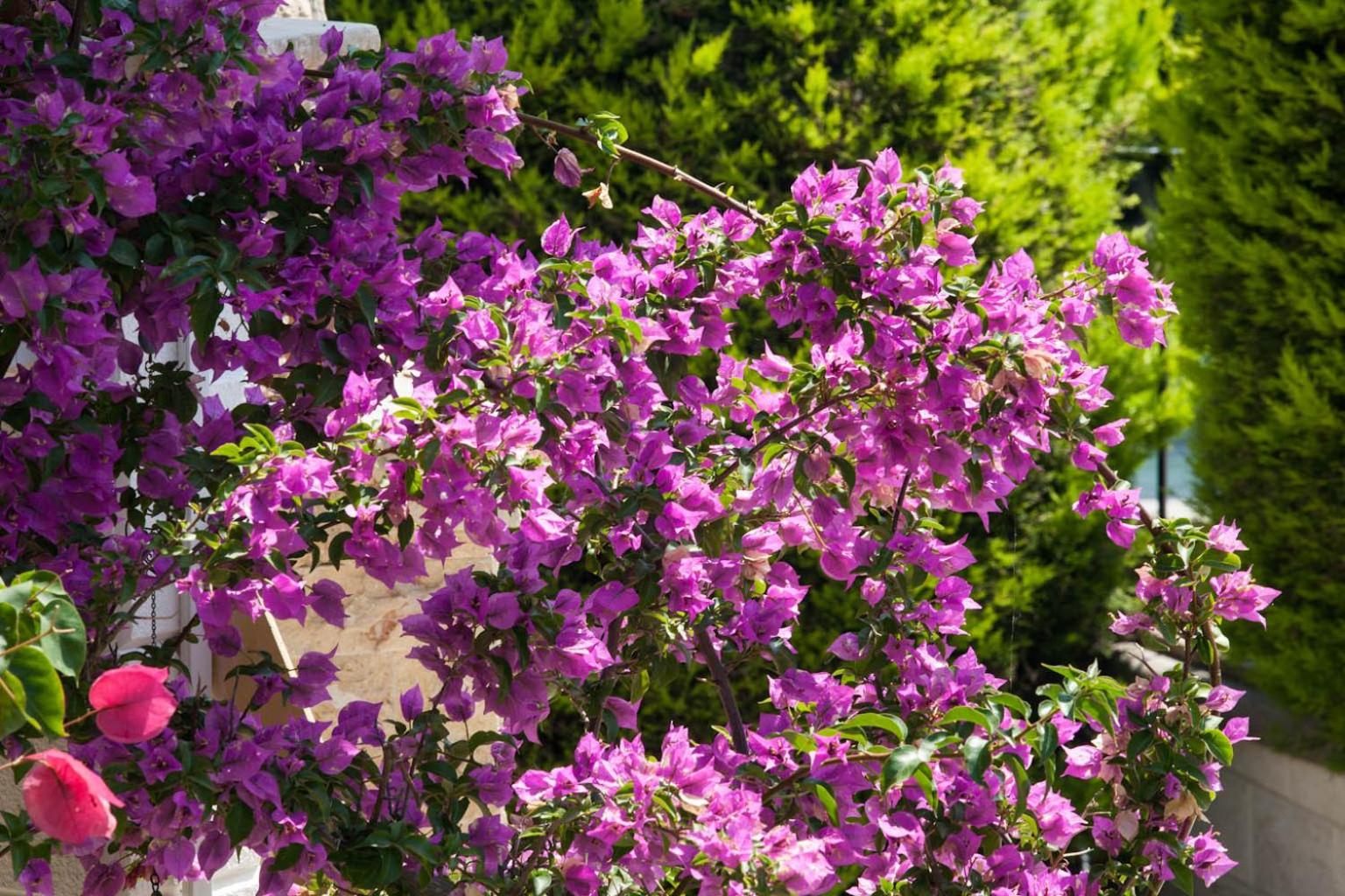 SUN RESIDENCE Exclusive Seaside Suites - Photo 90