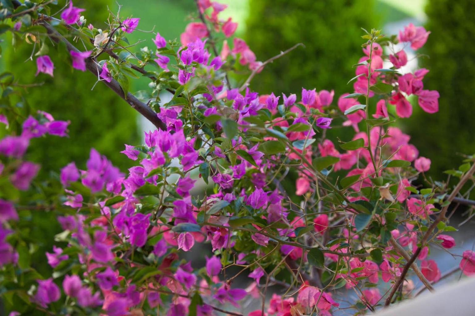 SUN RESIDENCE Exclusive Seaside Suites - Photo 82