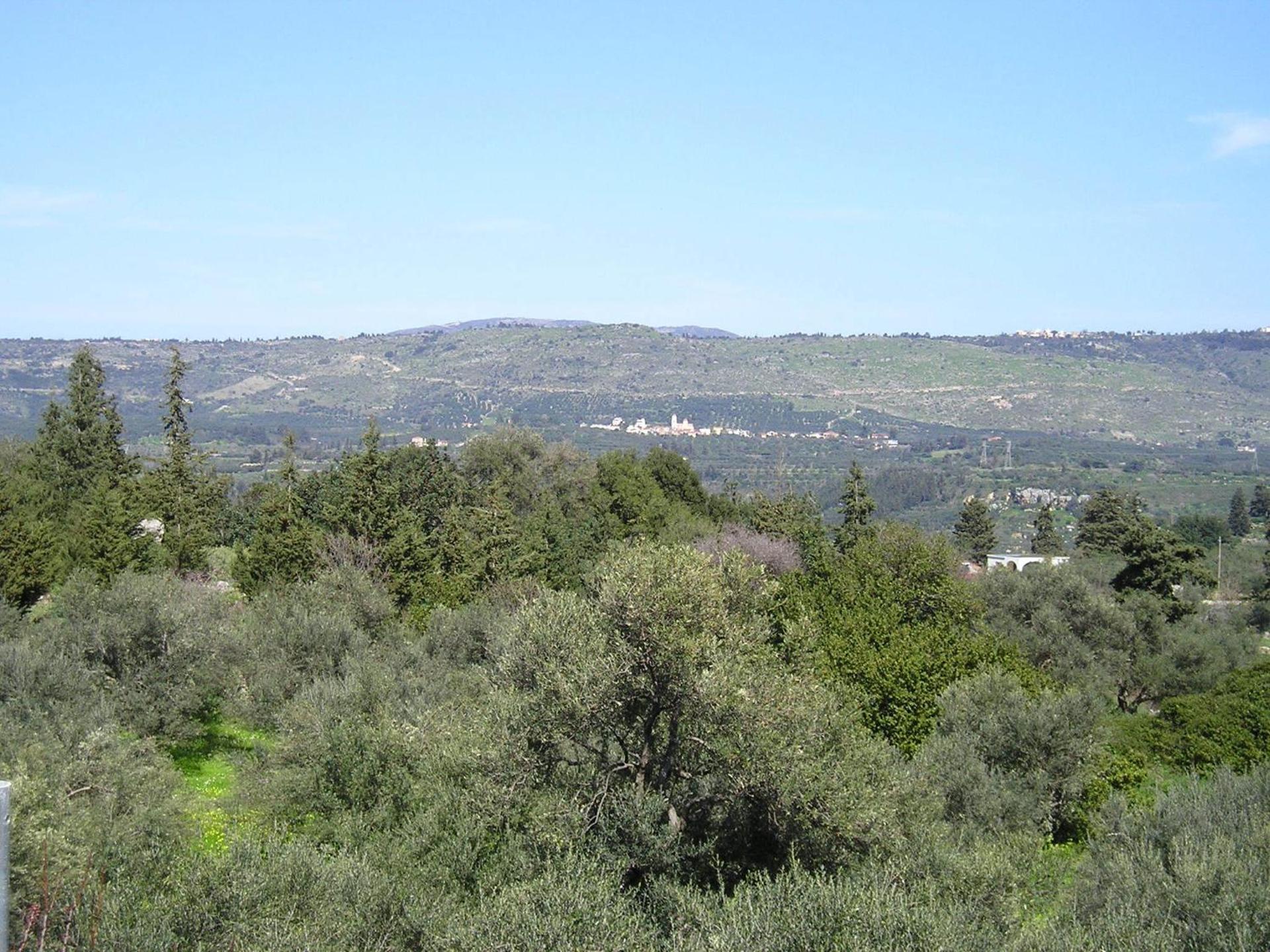 Villa Aloni - Photo 6