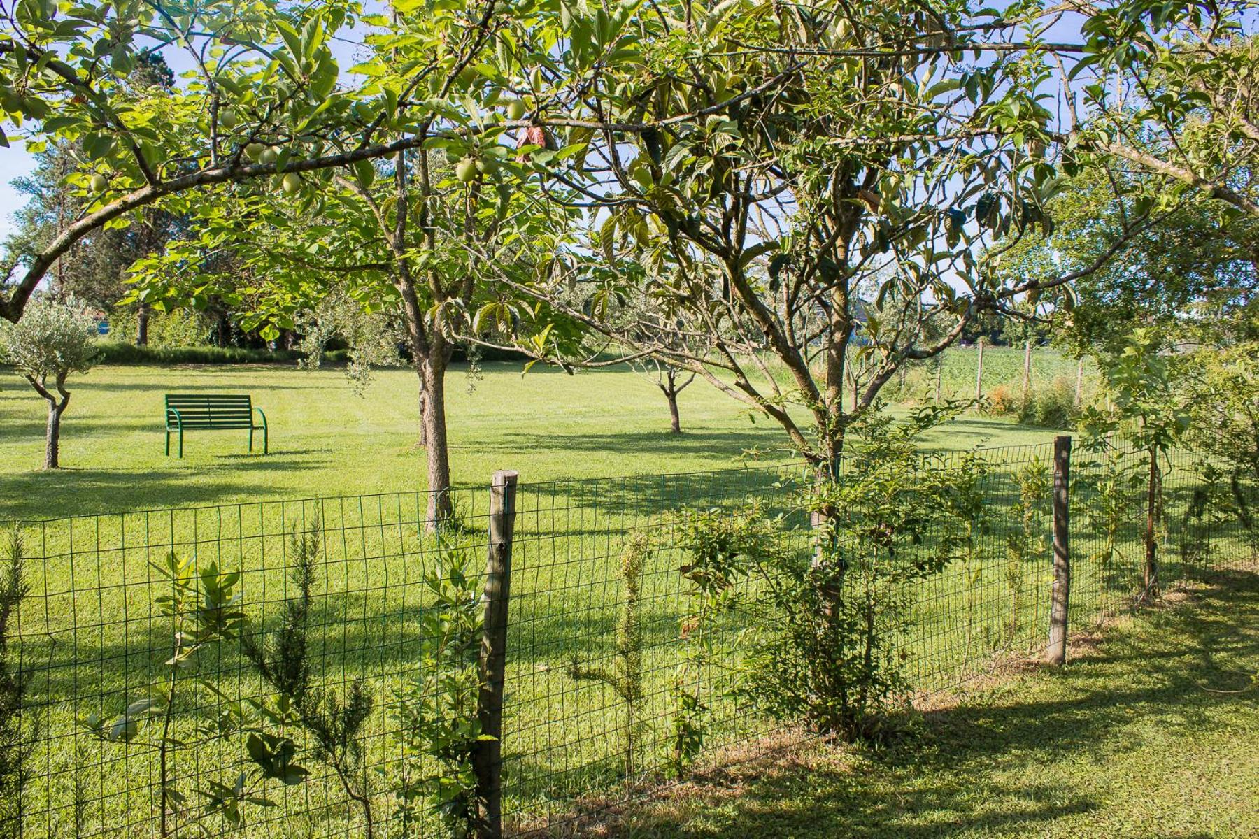 B&B Da Pio - Photo 57