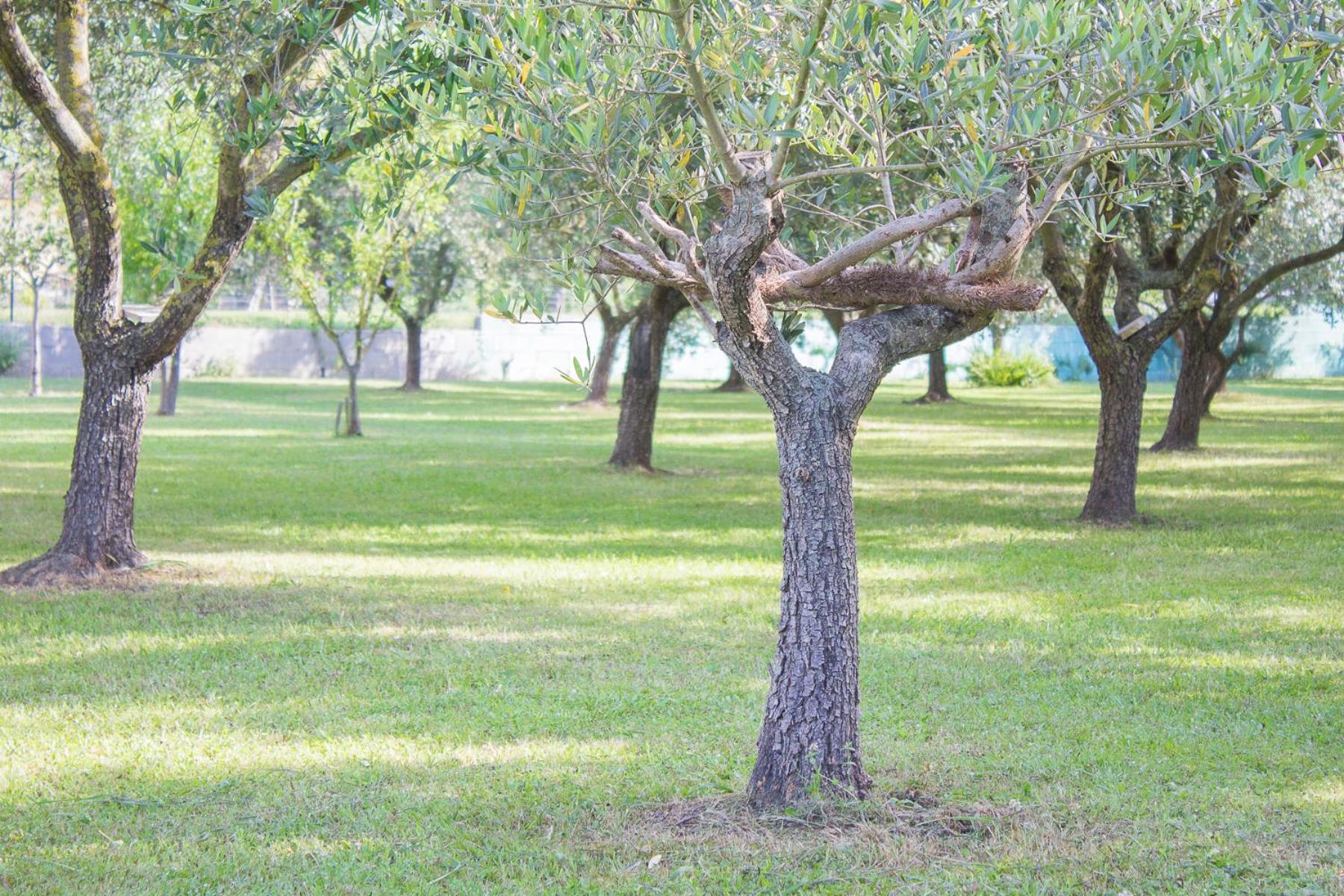 B&B Da Pio - Photo 59