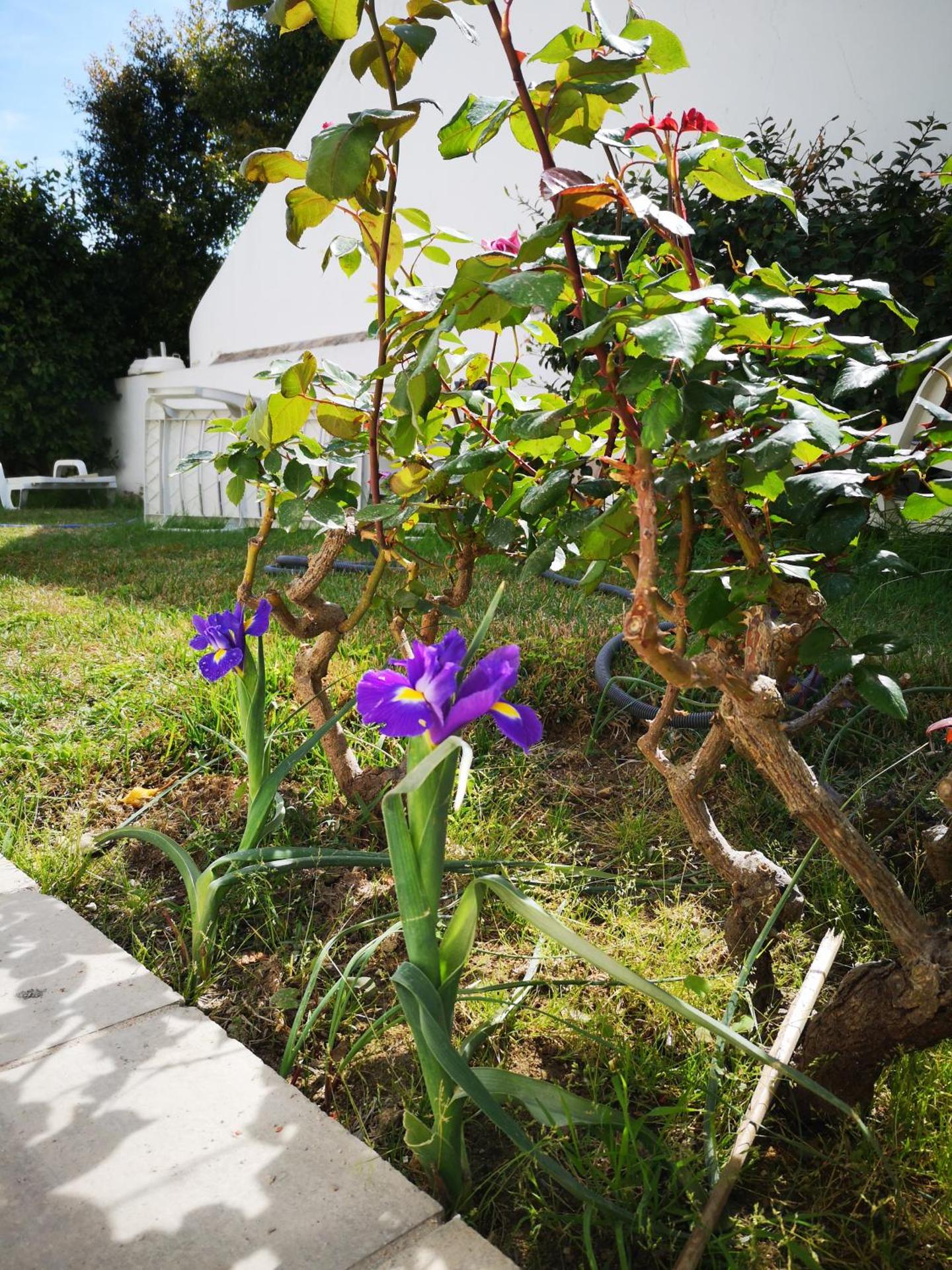 Nature Guesthouse - Photo 167