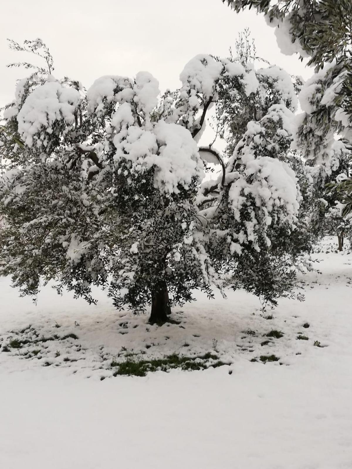 Agriturismo Il Pavone - Photo 68