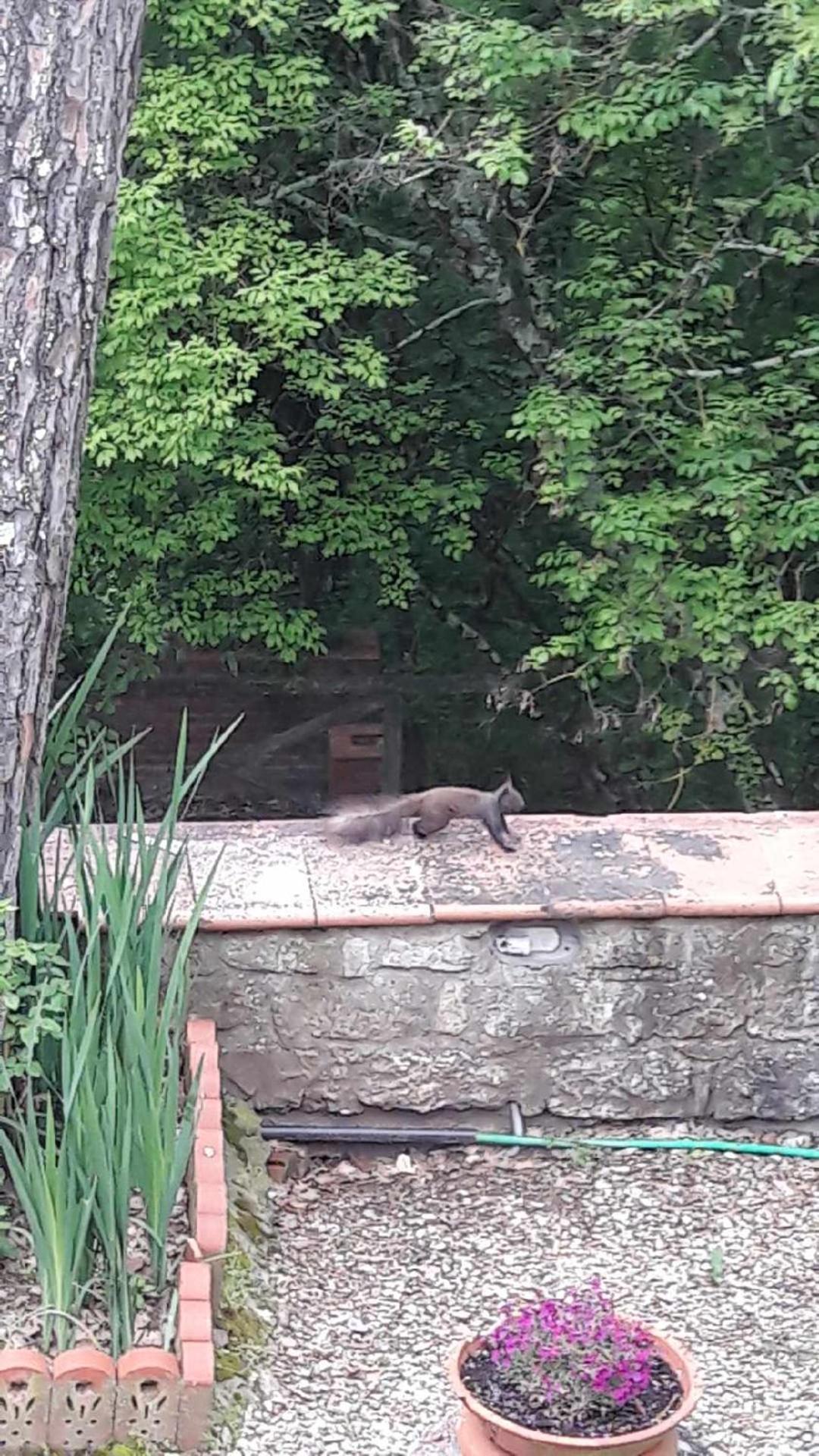 Villa Francesca - Photo 44