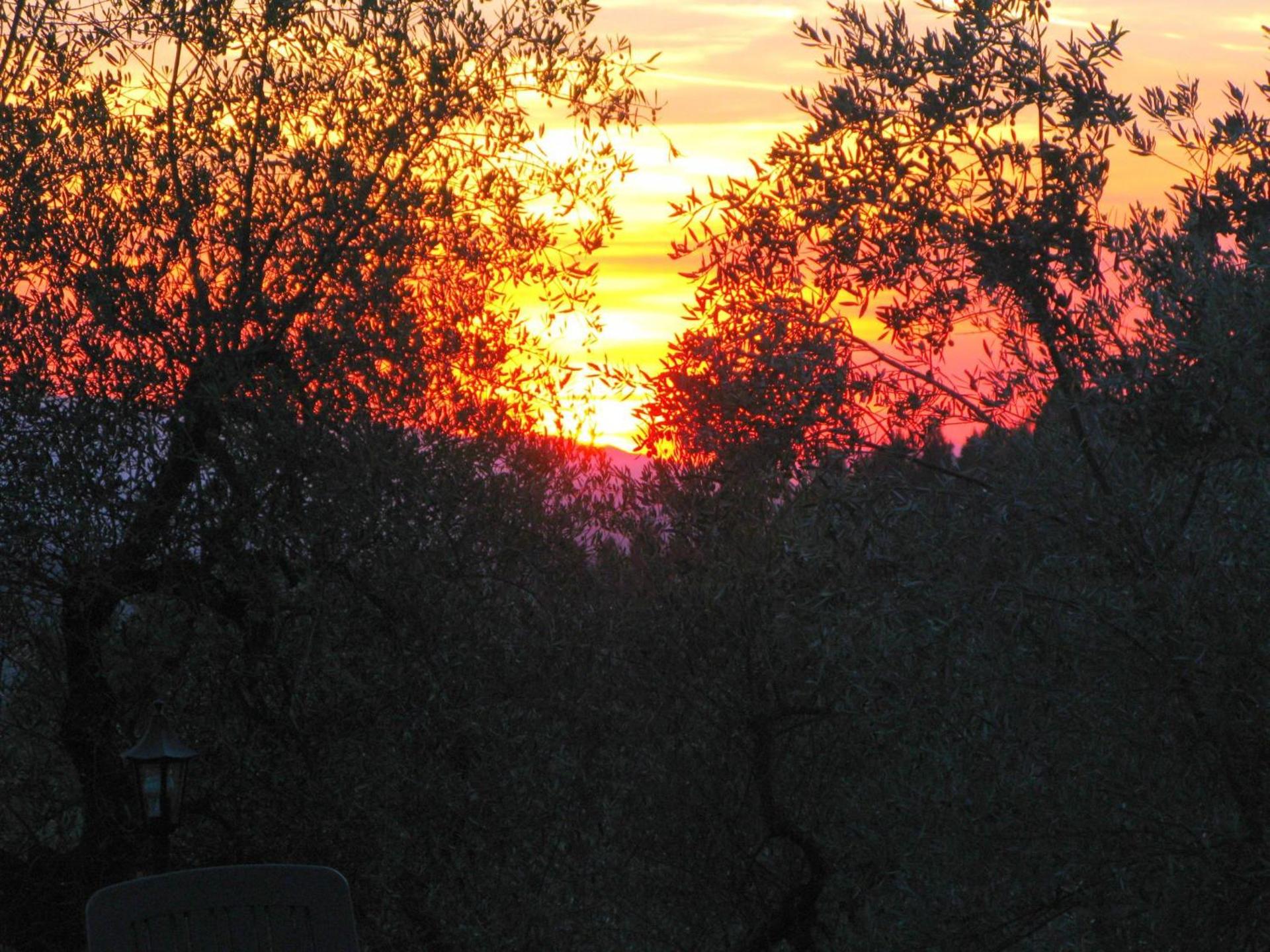 Agriturismo Martignana Alta - Photo 35