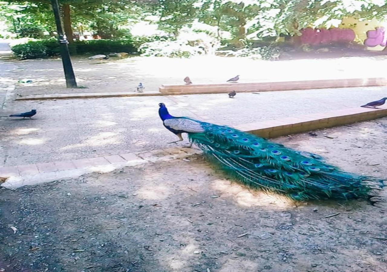 Karditsa Home Sweet Home 80 τ.μ - Photo 31