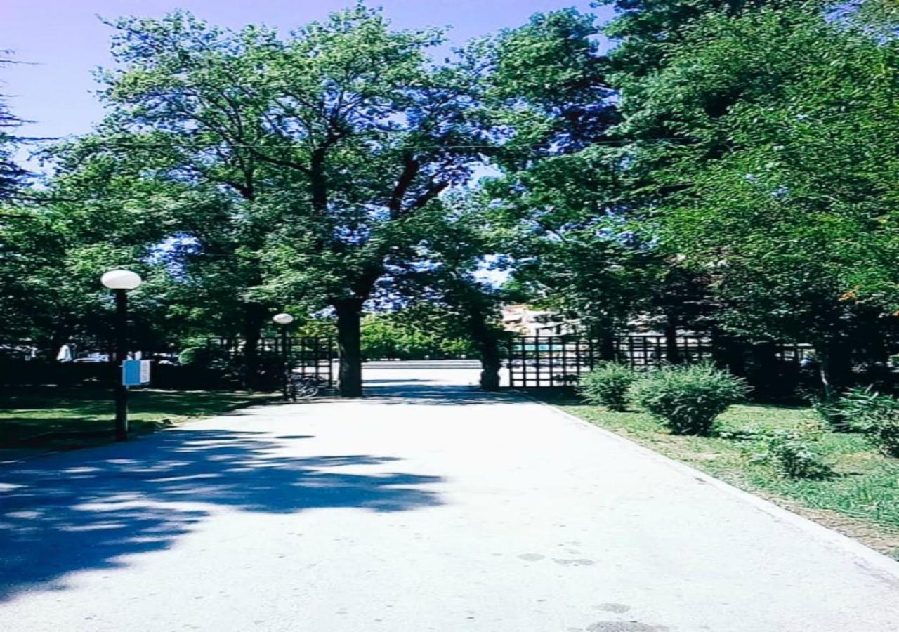 Karditsa Home Sweet Home 80 τ.μ - Photo 35