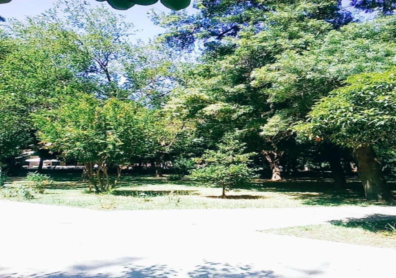 Karditsa Home Sweet Home 80 τ.μ - Photo 43