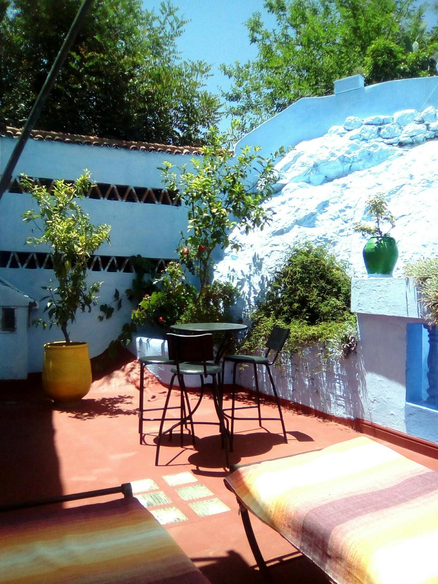 Dar Dalia - Photo 11