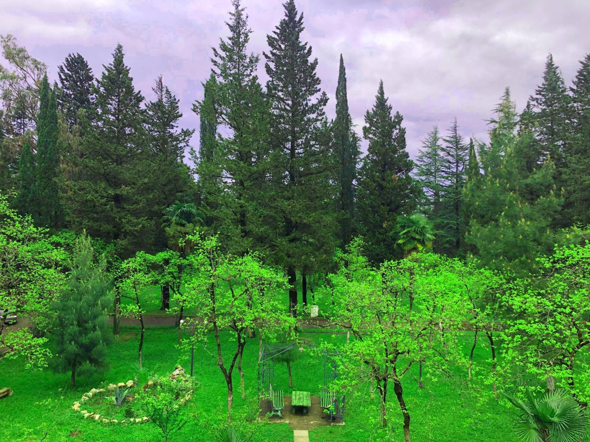 Park Hotel Imeri kutaisi - Photo 62