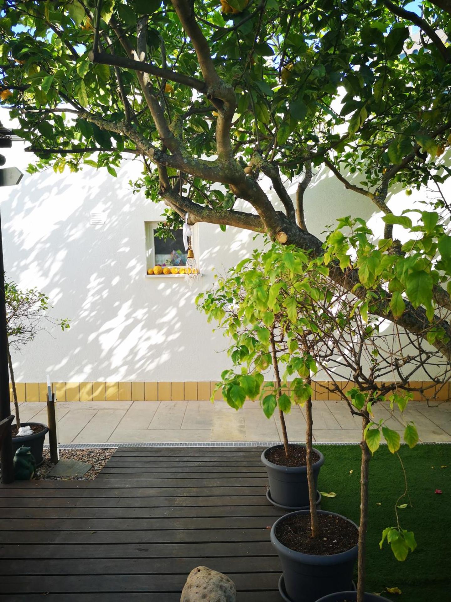 Nature Guesthouse - Photo 172