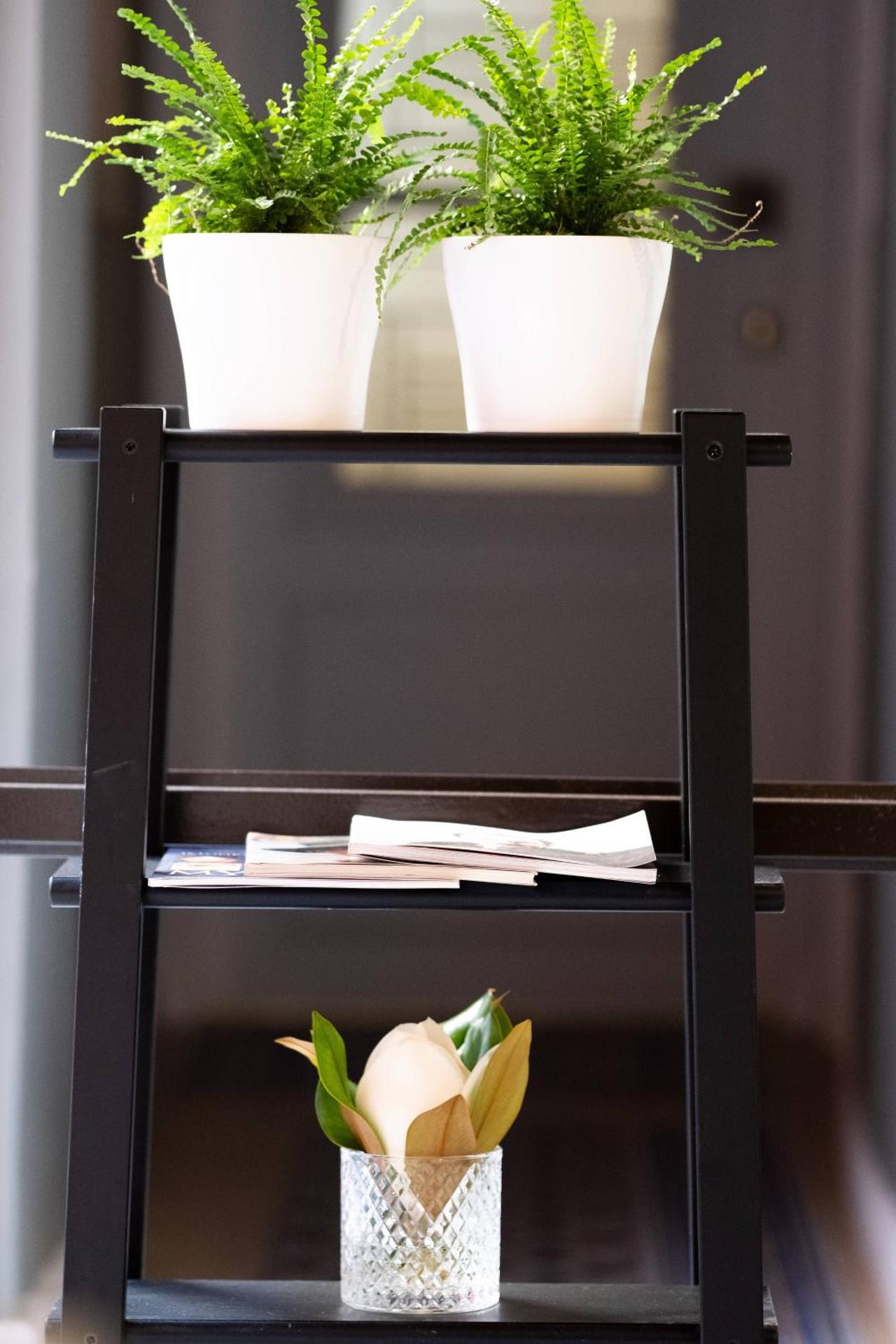 ATHENIAN YARD SUITES - Photo 56