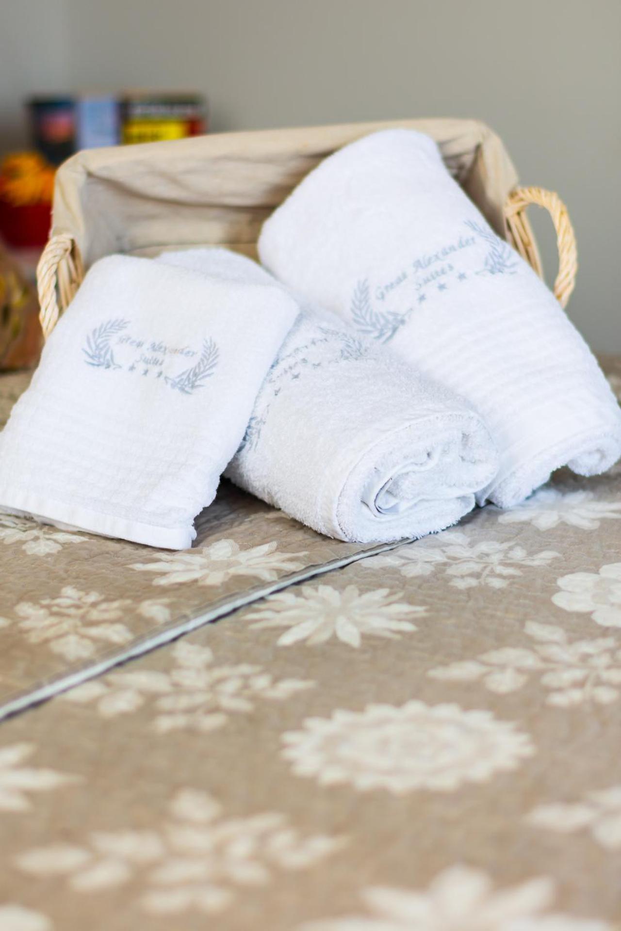 Great Alexander Suites - Photo 36