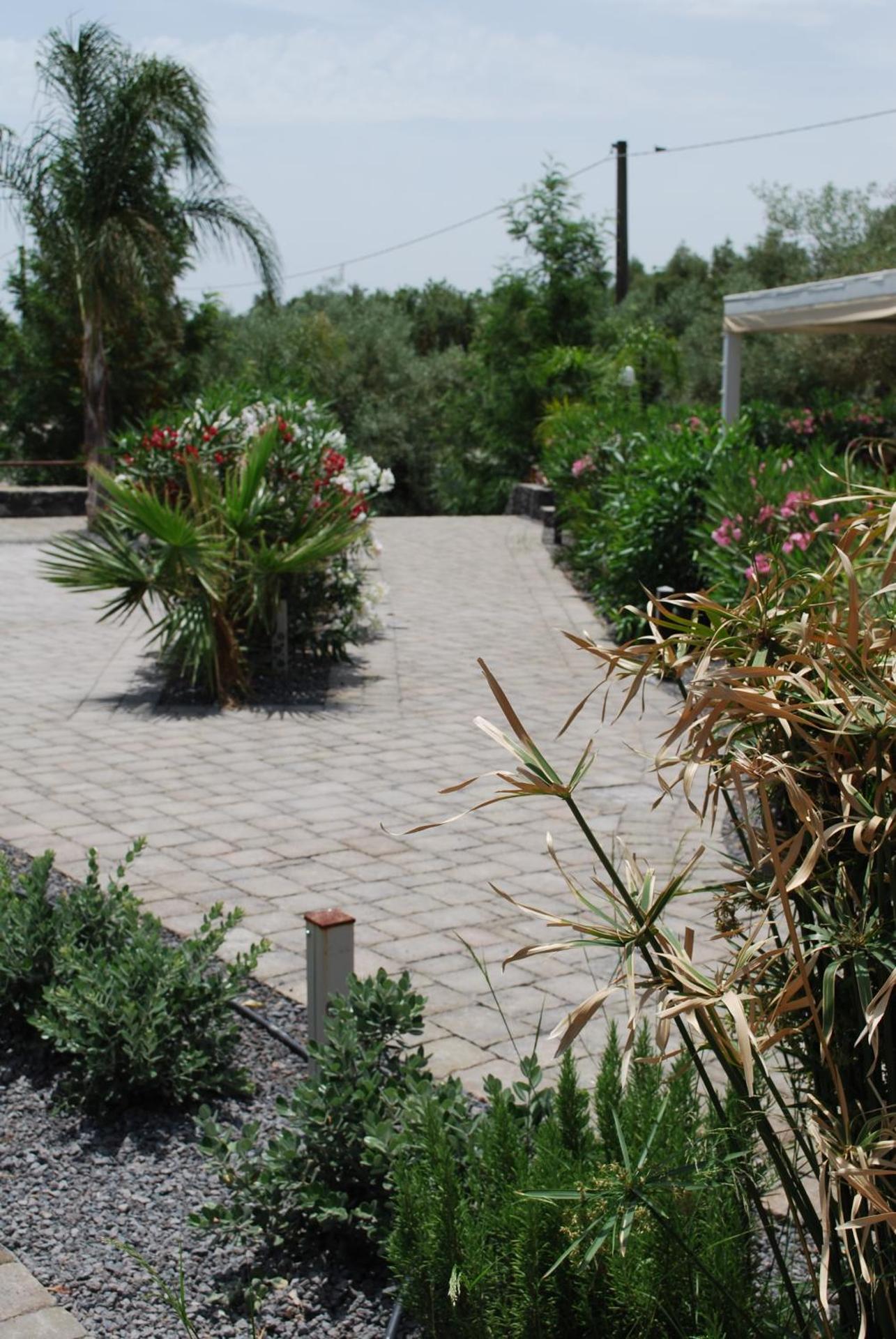 Etna Hills Scalilli - Photo 4