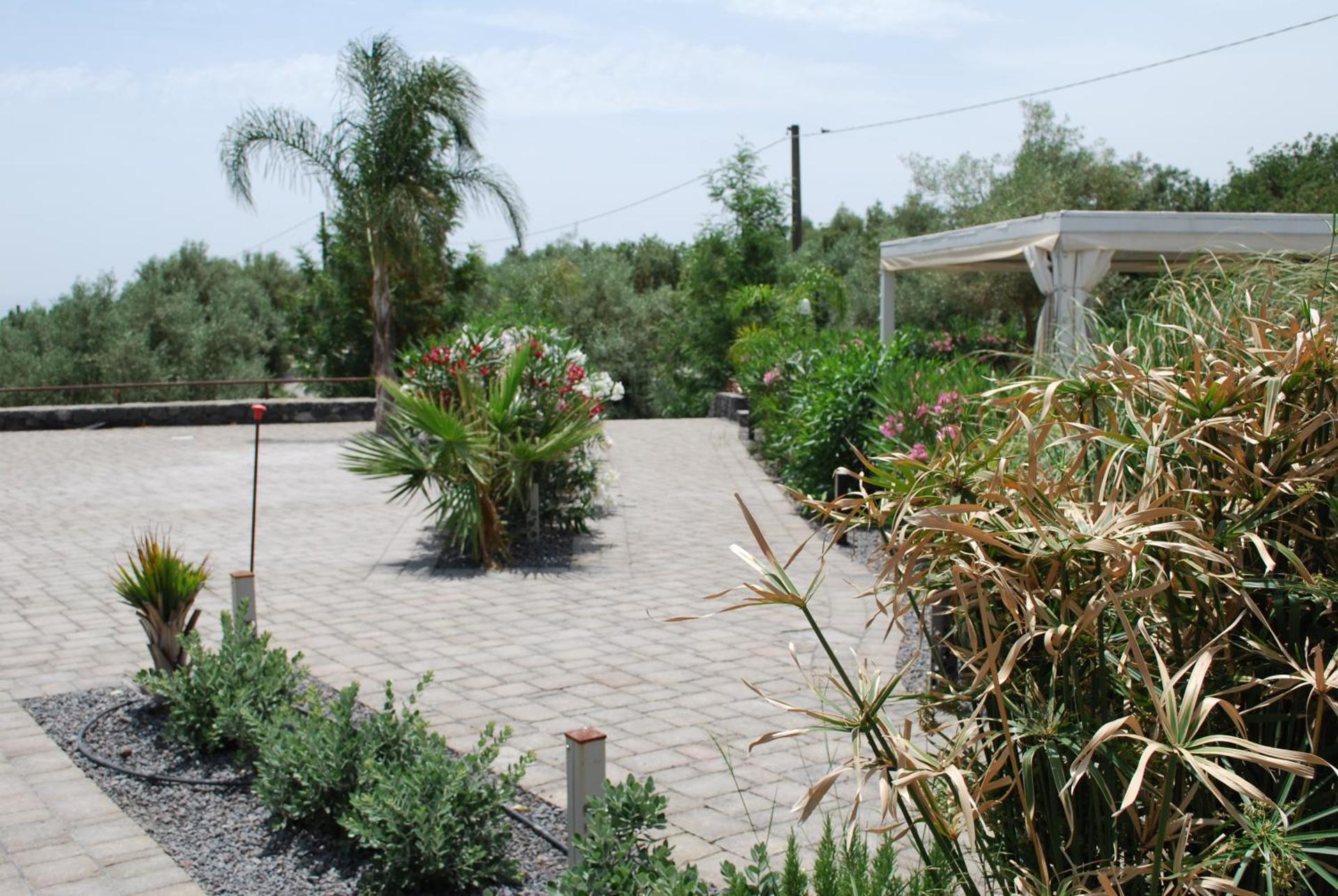 Etna Hills Scalilli - Photo 5