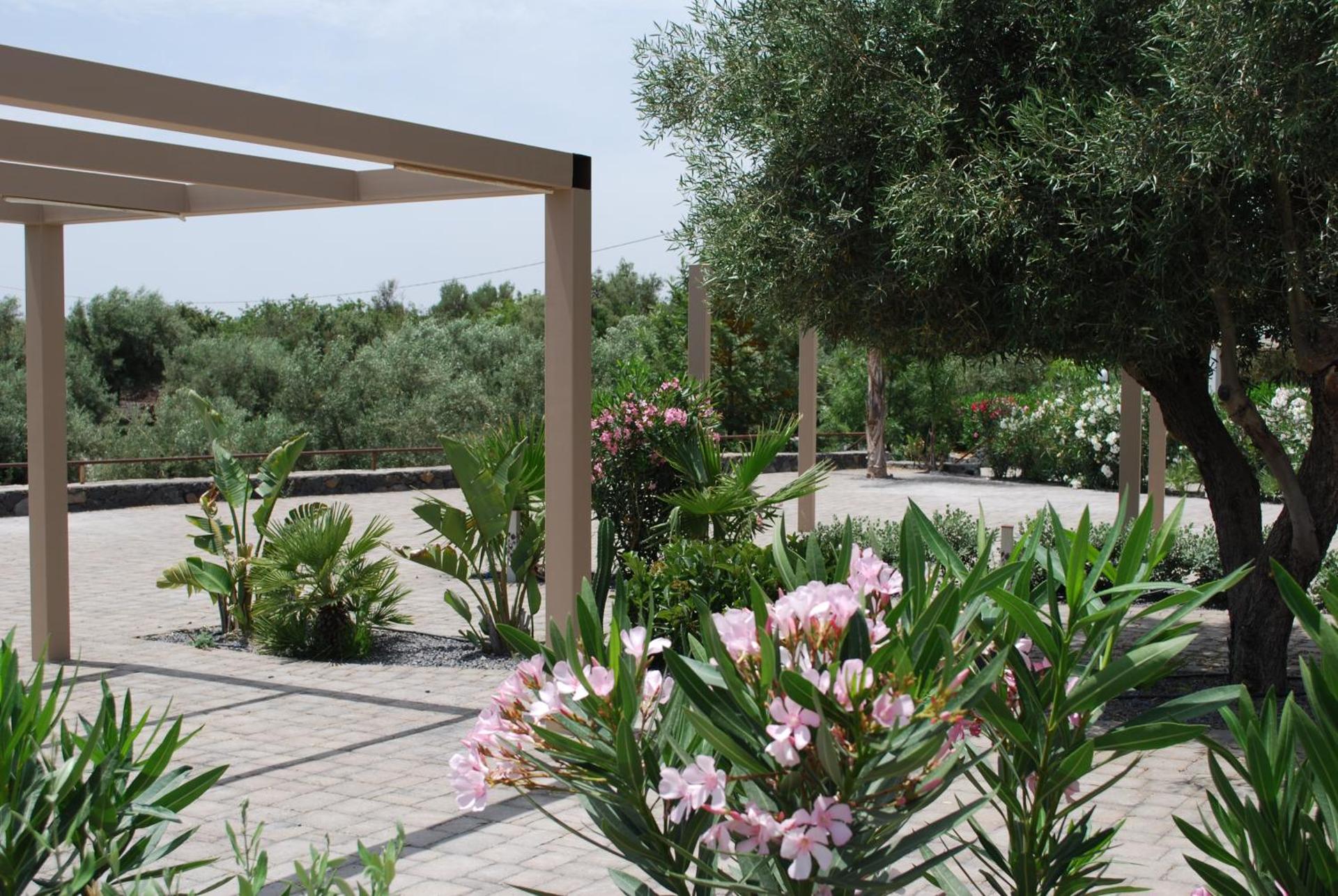 Etna Hills Scalilli - Photo 7