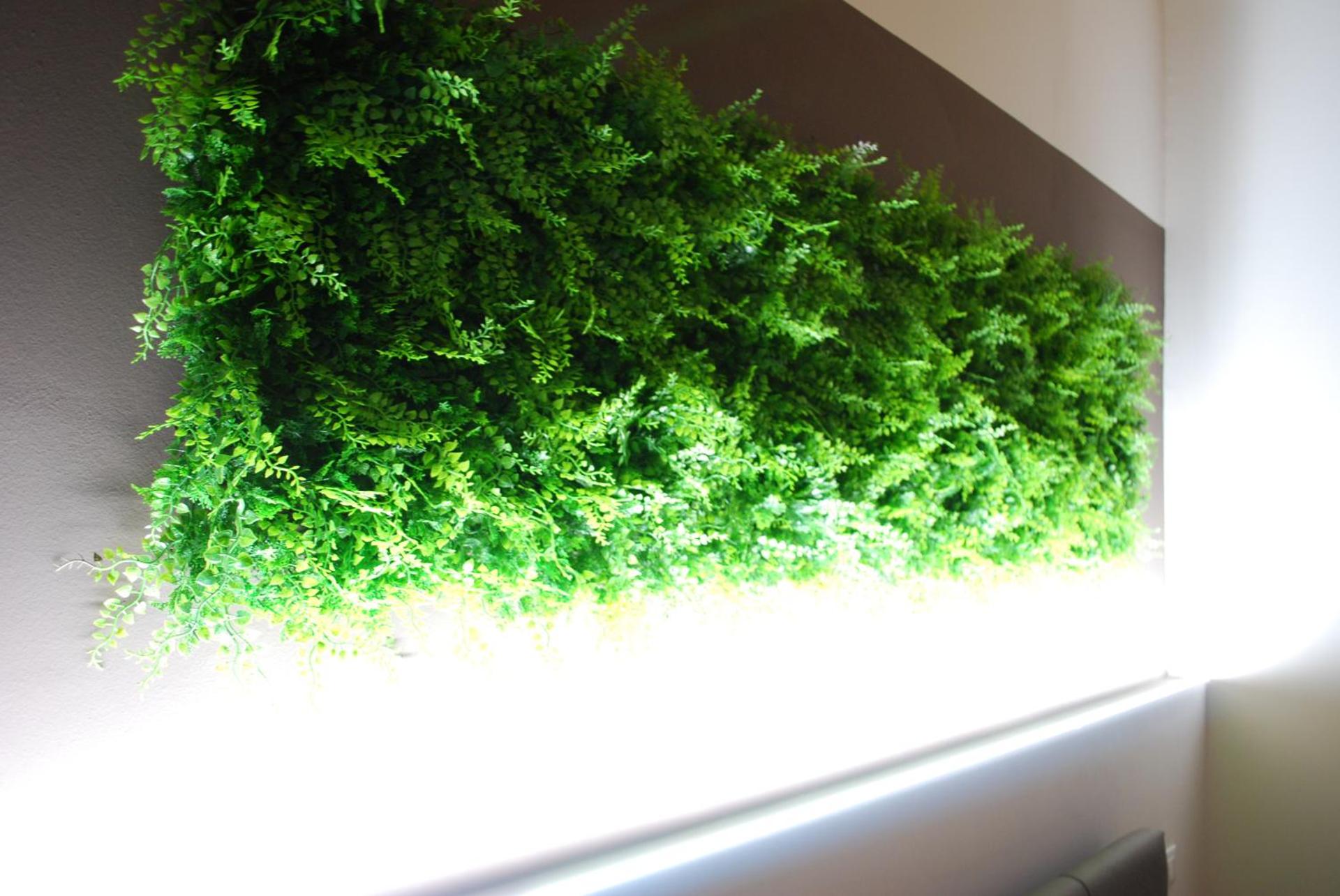 Etna Hills Scalilli - Photo 2