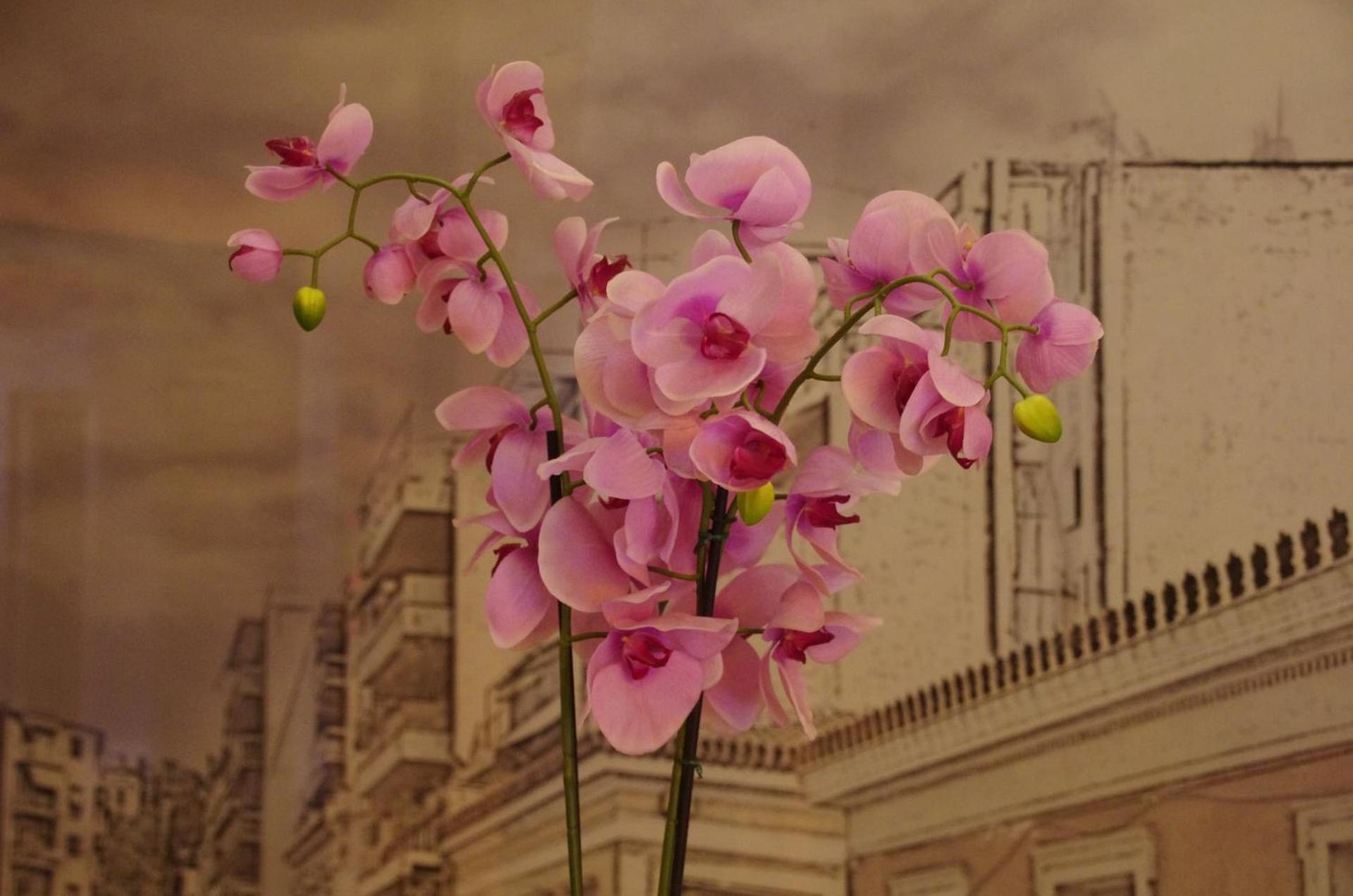 Hotel Exarchion - Photo 17