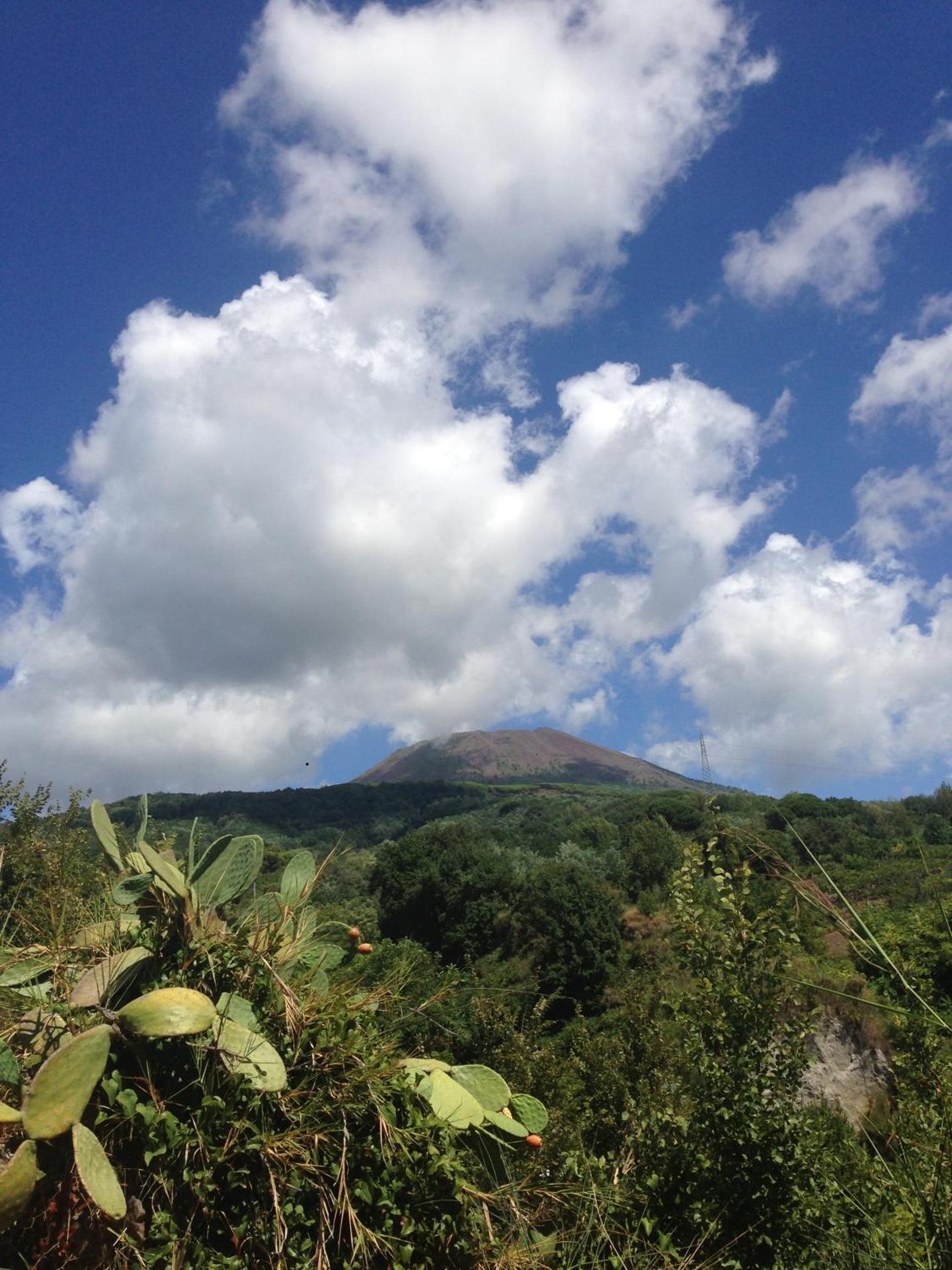 Domus Agricolae Corallina - Photo 22