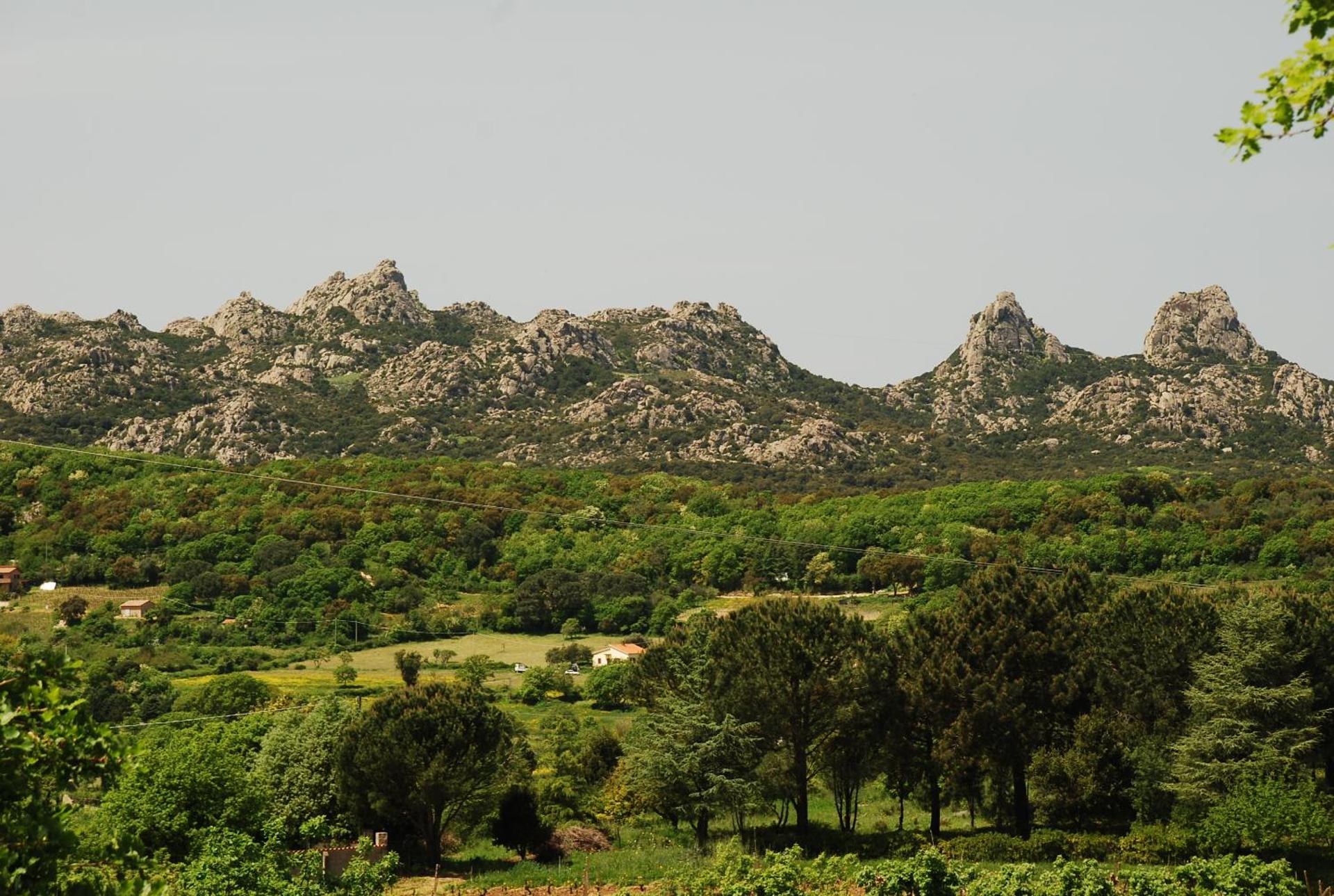 Pausania Inn - Photo 7