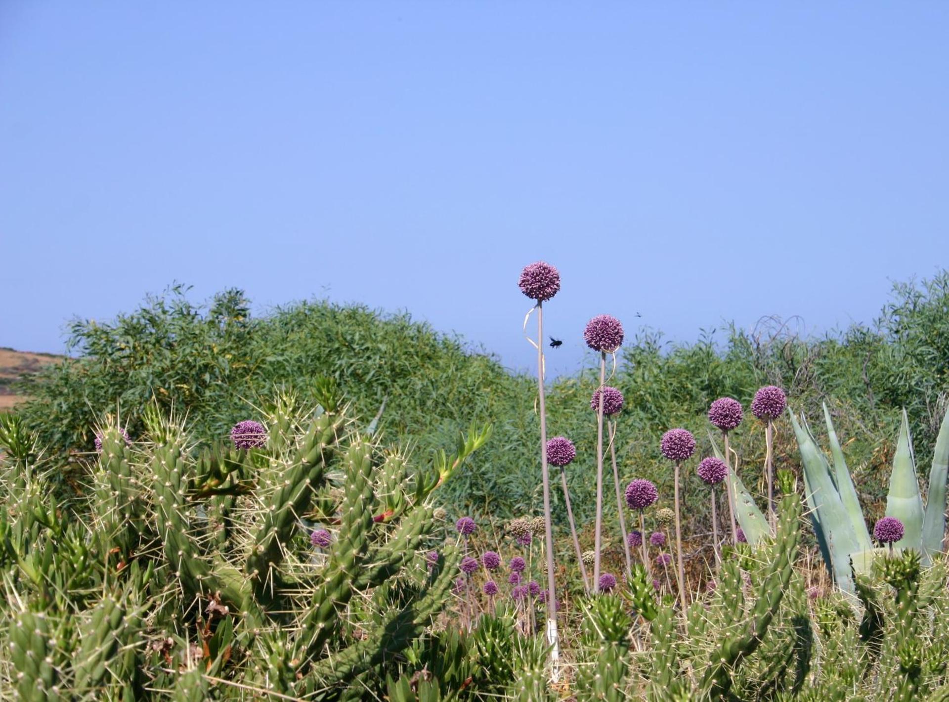 Pausania Inn - Photo 62