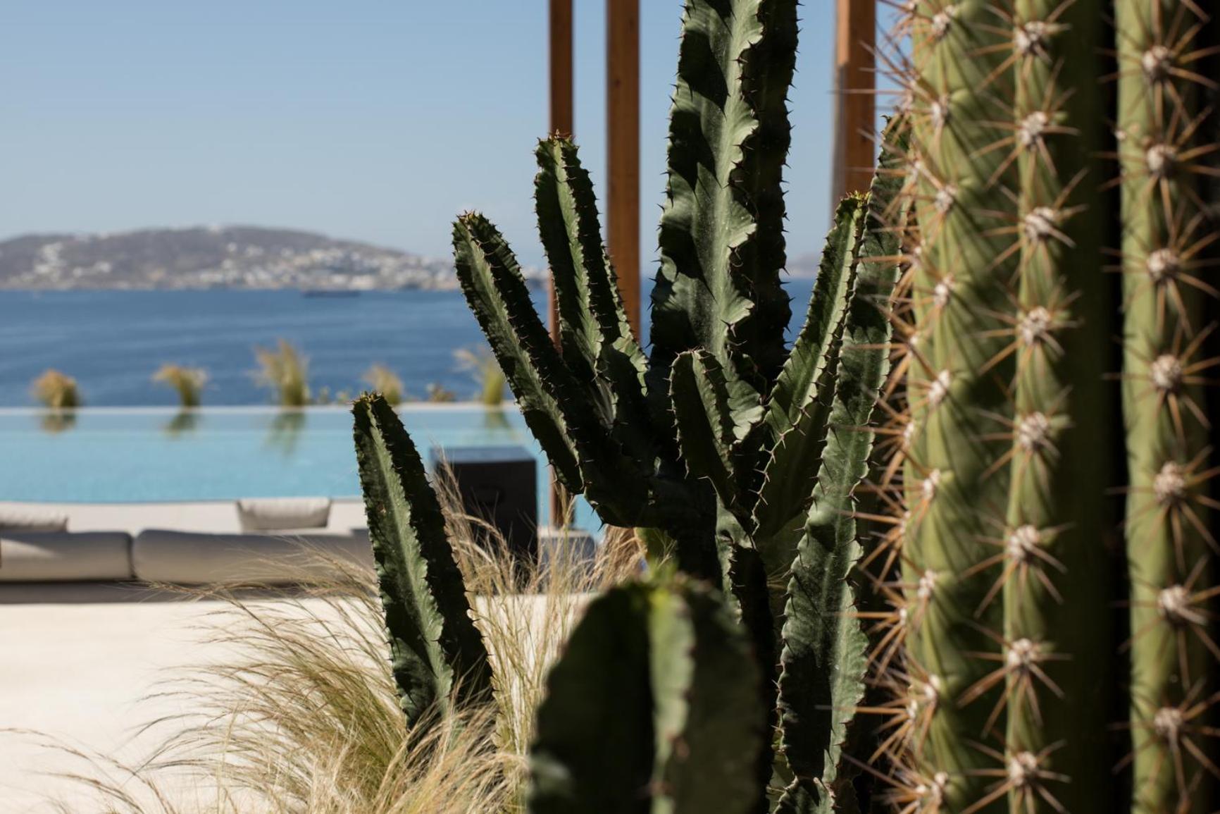 Rocabella Mykonos Hotel - Photo 252