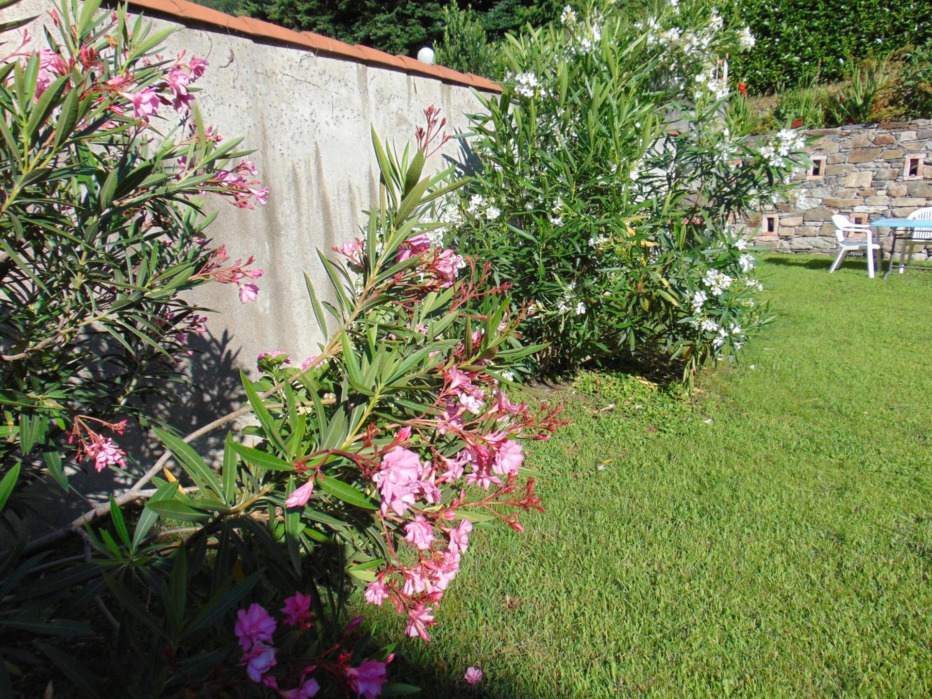 Hortus Lake Orta - Photo 41